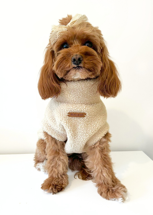 Teddy Bouclé Jumper (Cream)