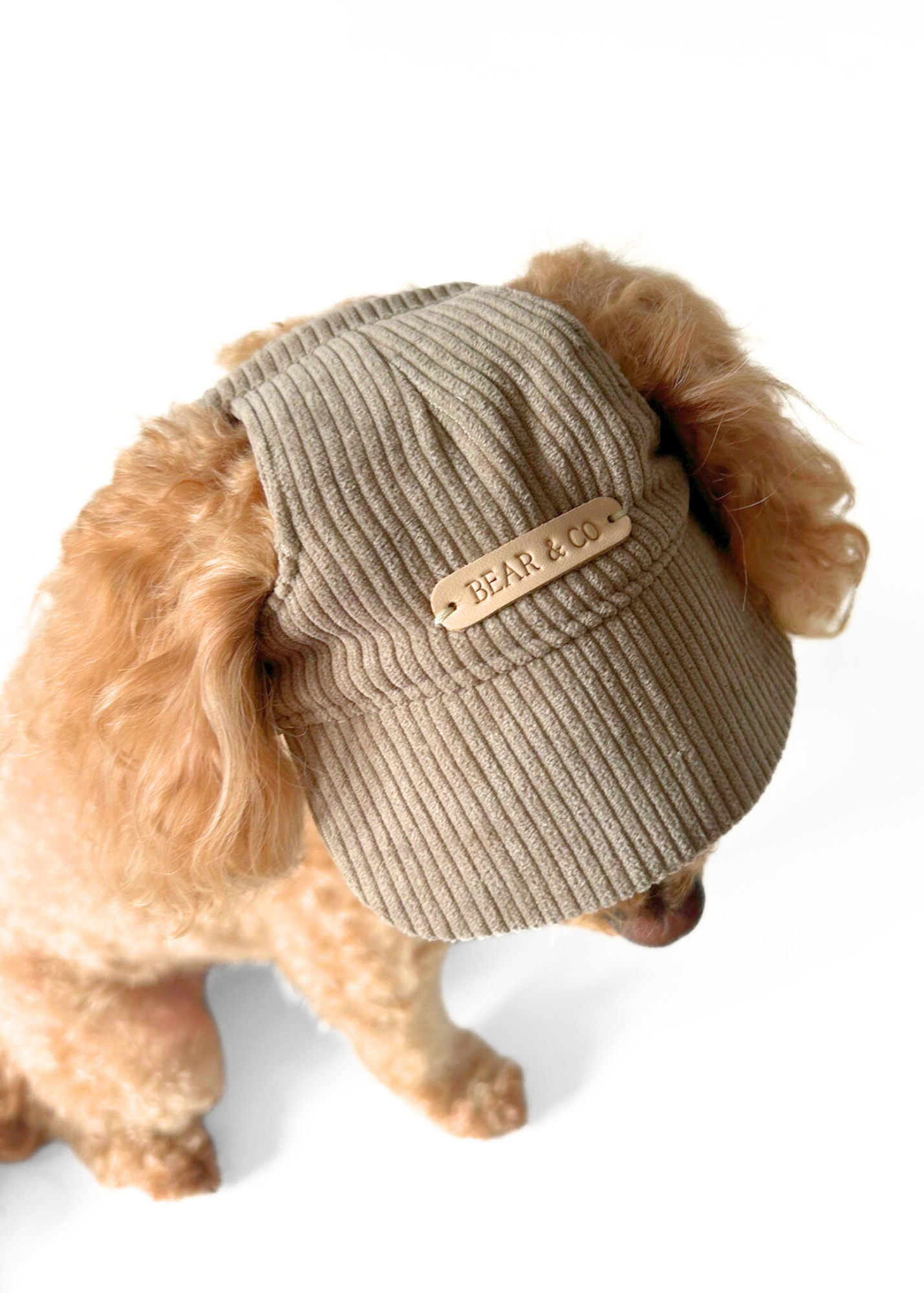 Dog Cap - Beige