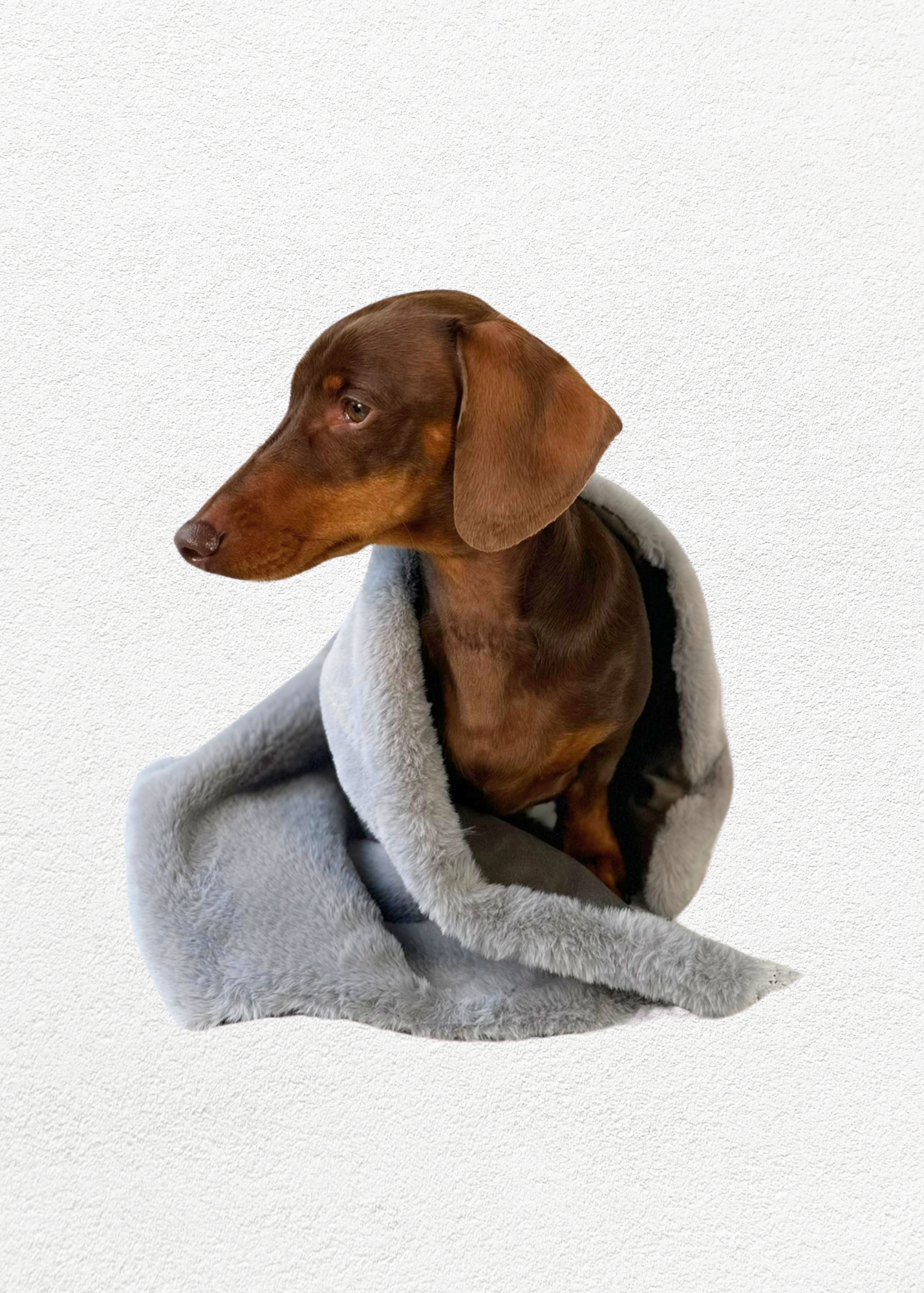 Luxury Faux Fur Dog Blanket