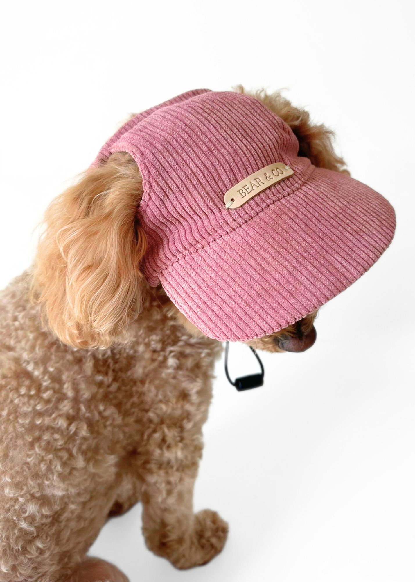 Dog Cap - Pink