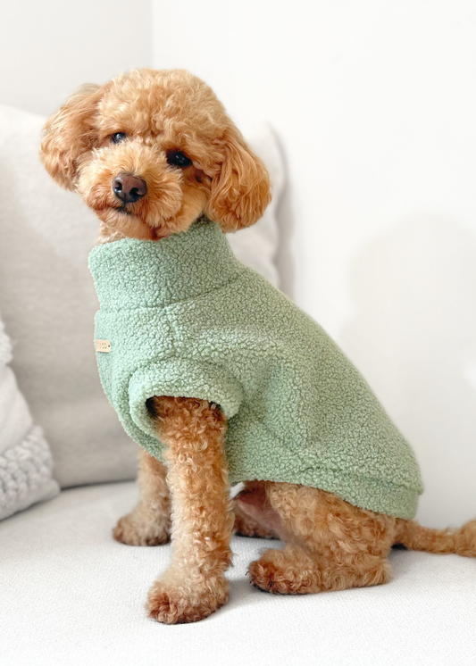 Teddy Bouclé Jumper (Sage Green)