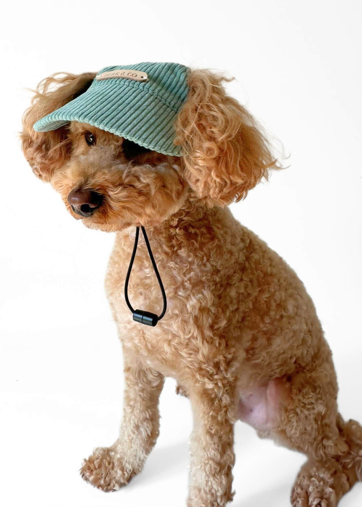 Dog Cap - Green
