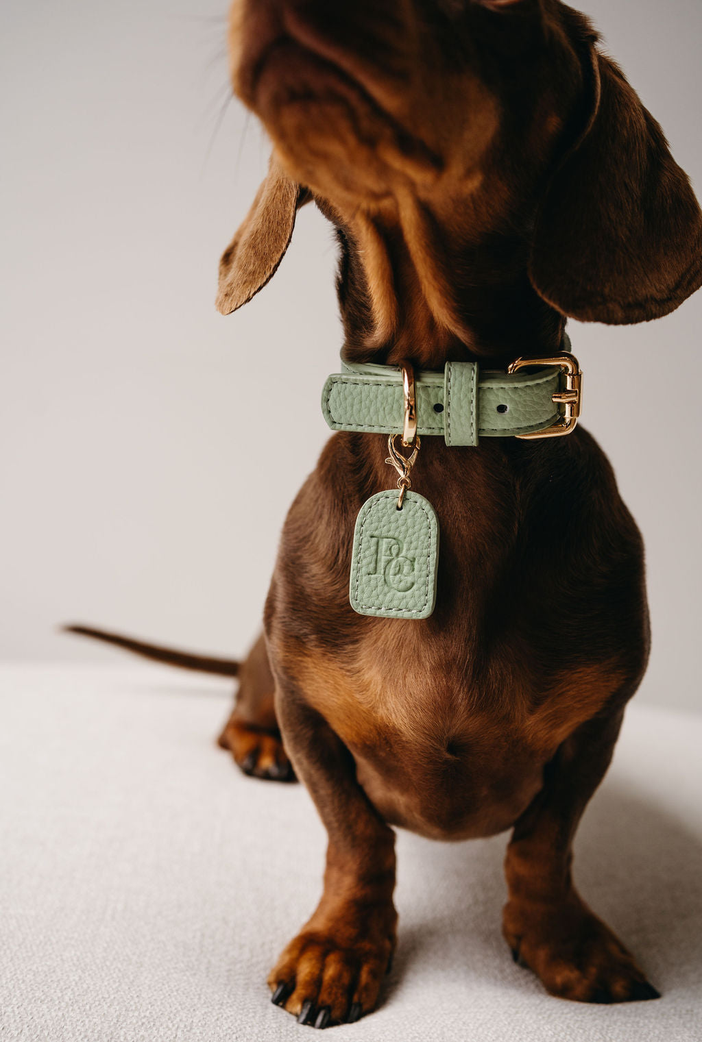 Collar - Matcha