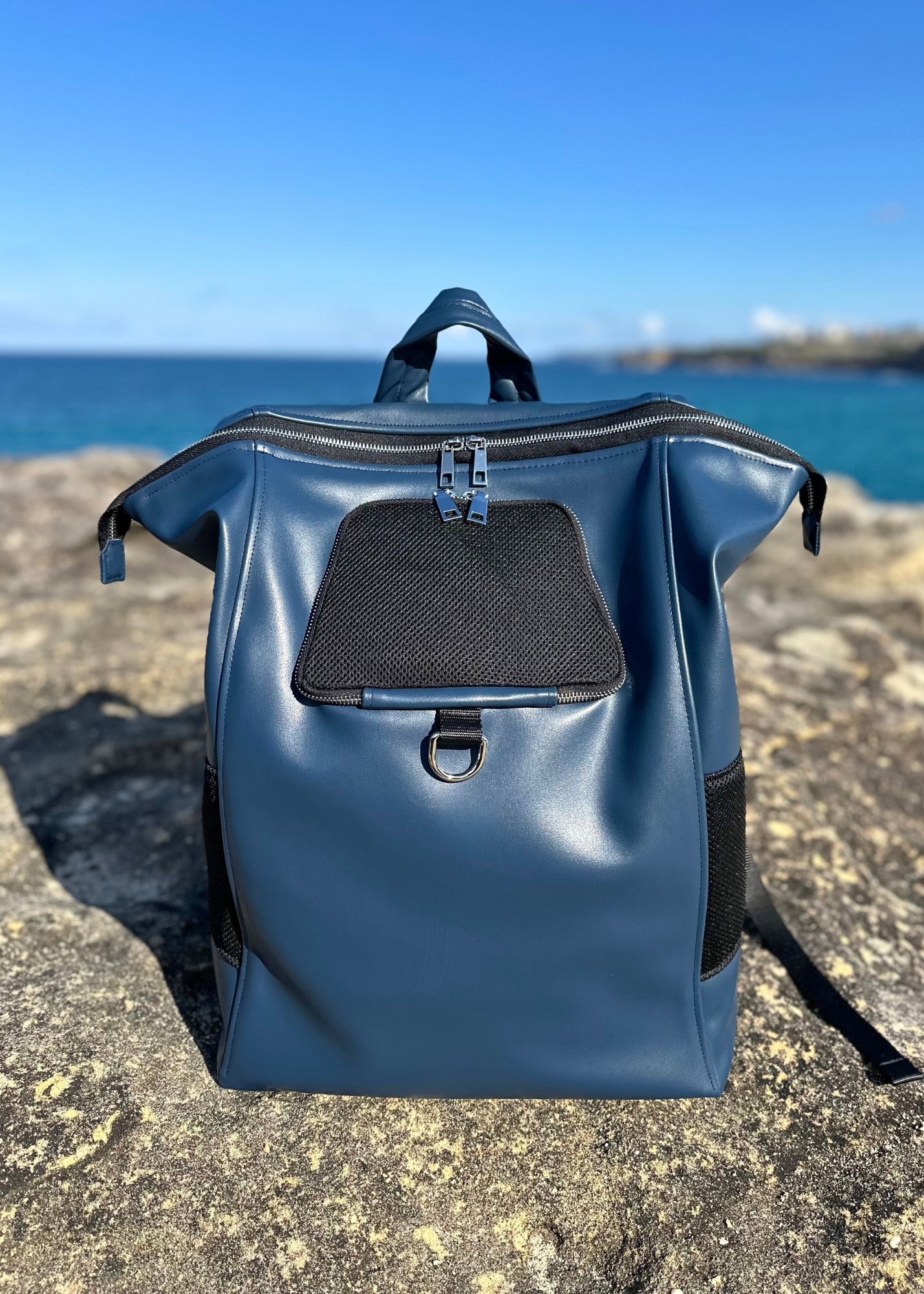 Bespoke Pet Back Pack