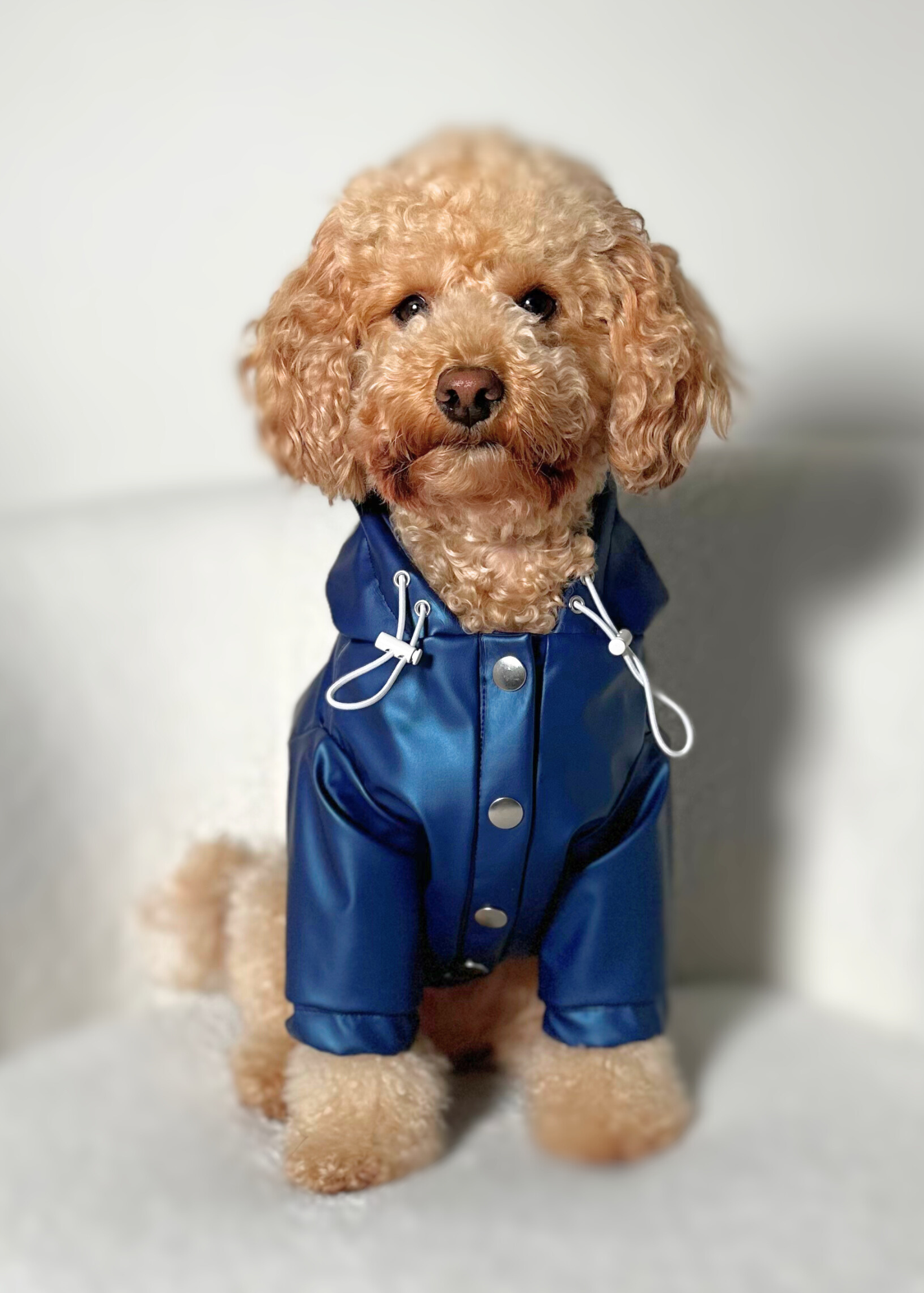 Bespoke Pet Rain Coat