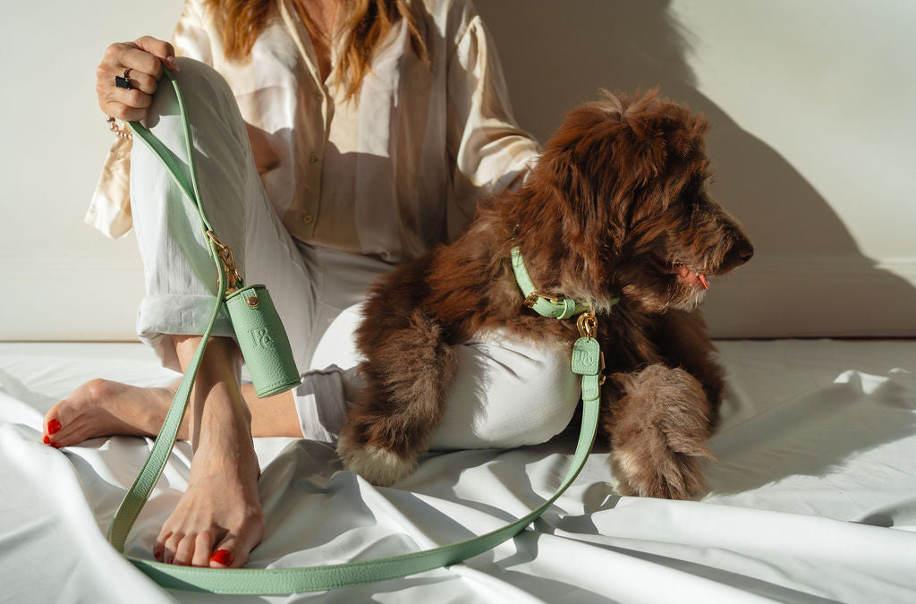 Leash - Matcha