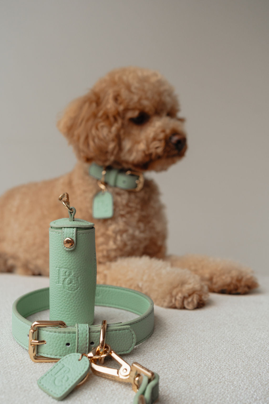 Poop Bag Holder - Matcha