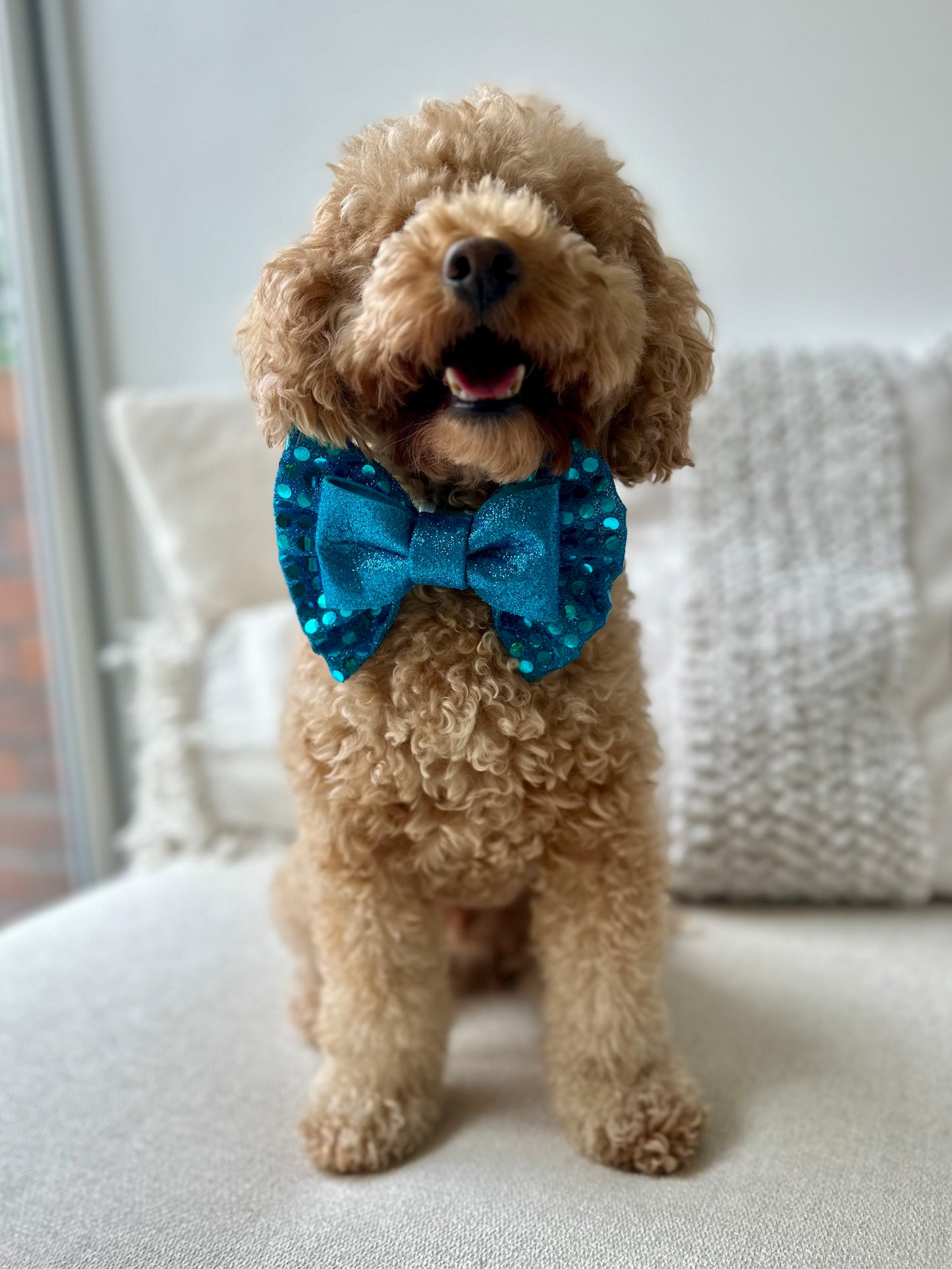 Disco Blue Bow Tie
