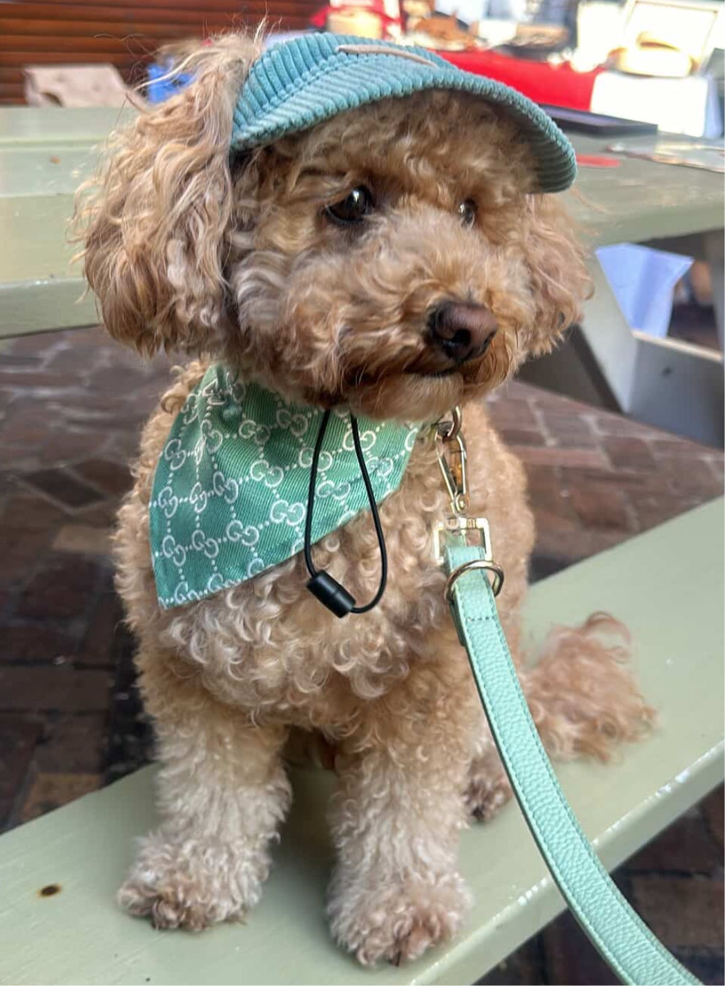 Bandana - Luxury Green