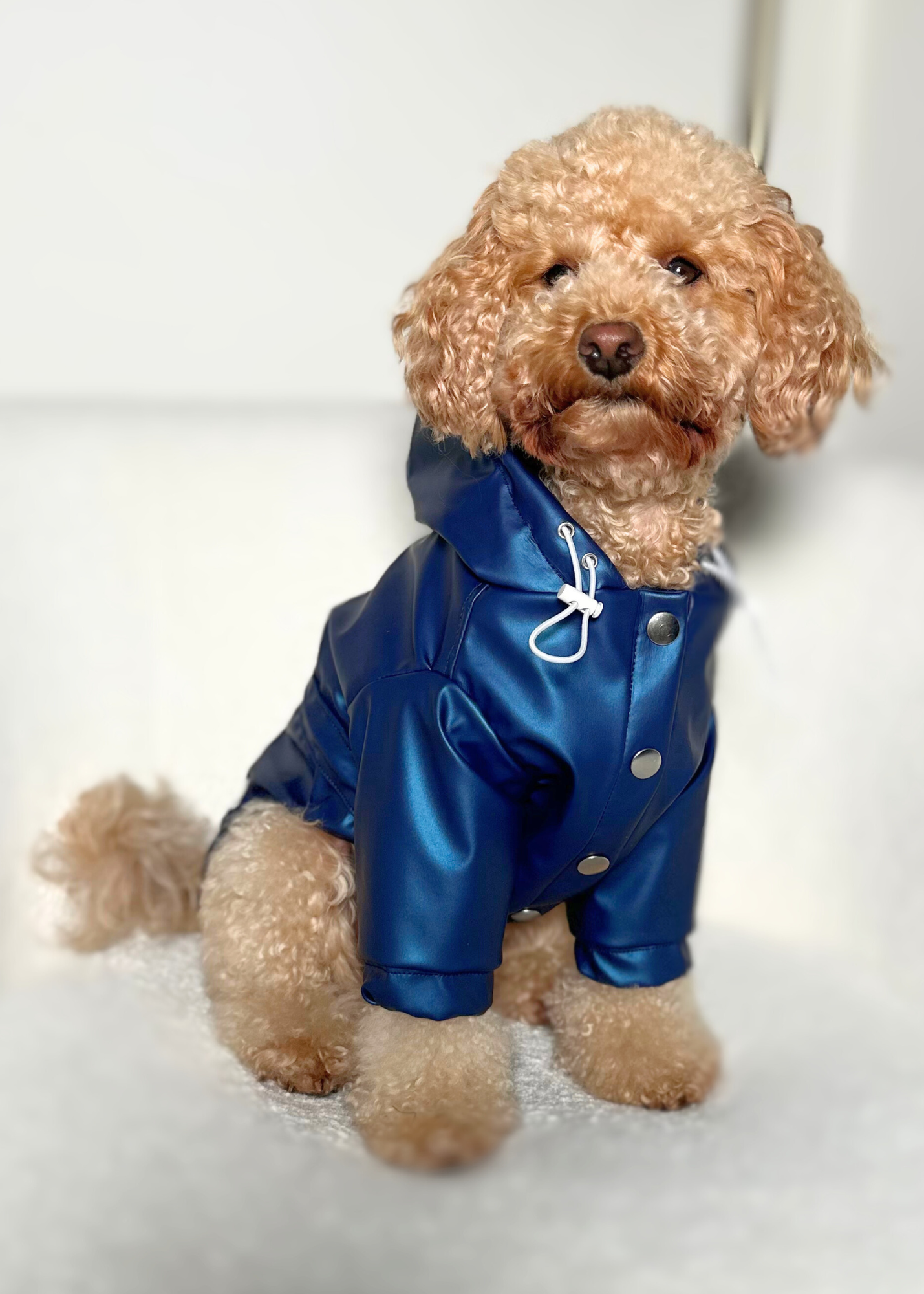 Bespoke Pet Rain Coat