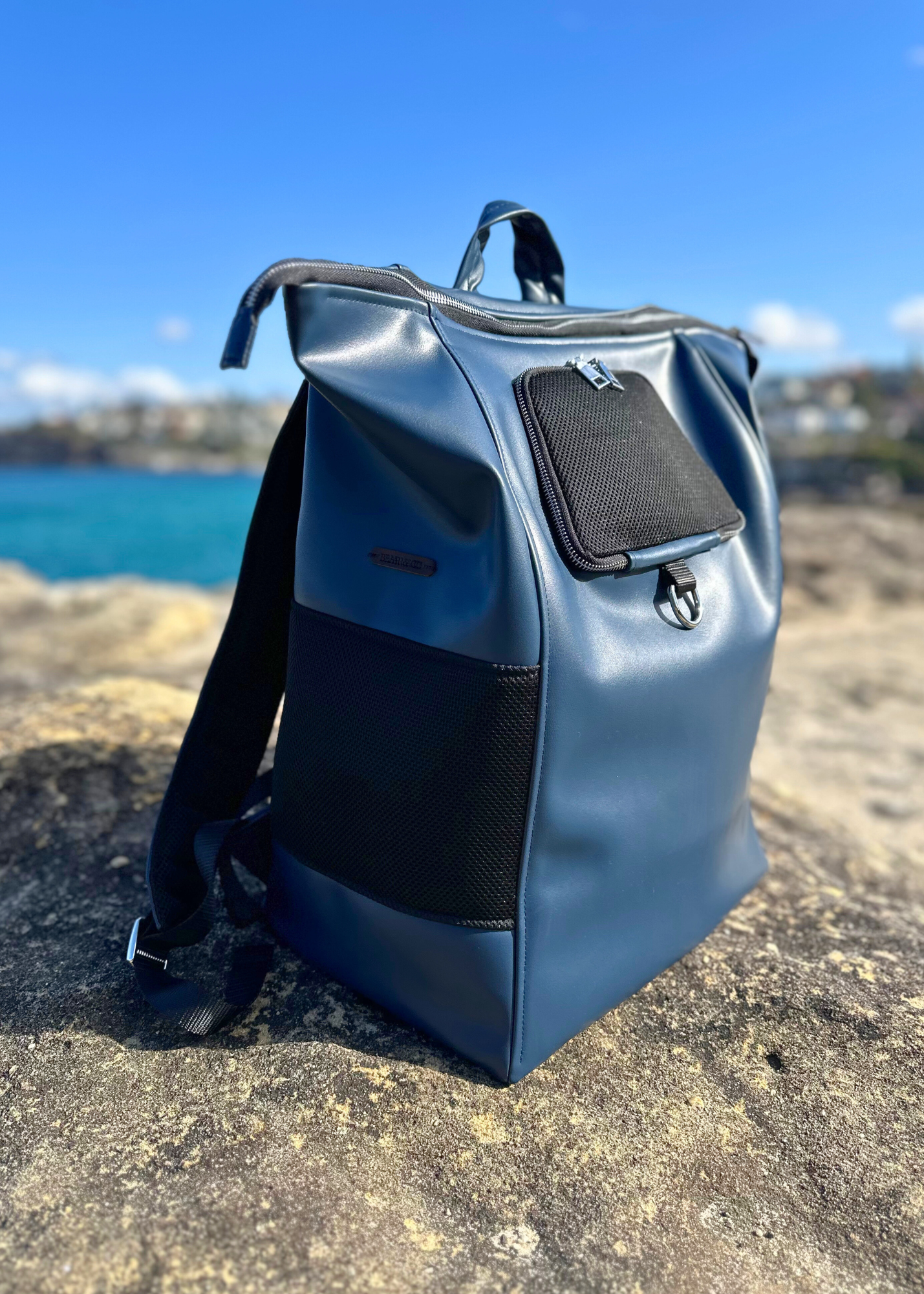 Bespoke Pet Back Pack