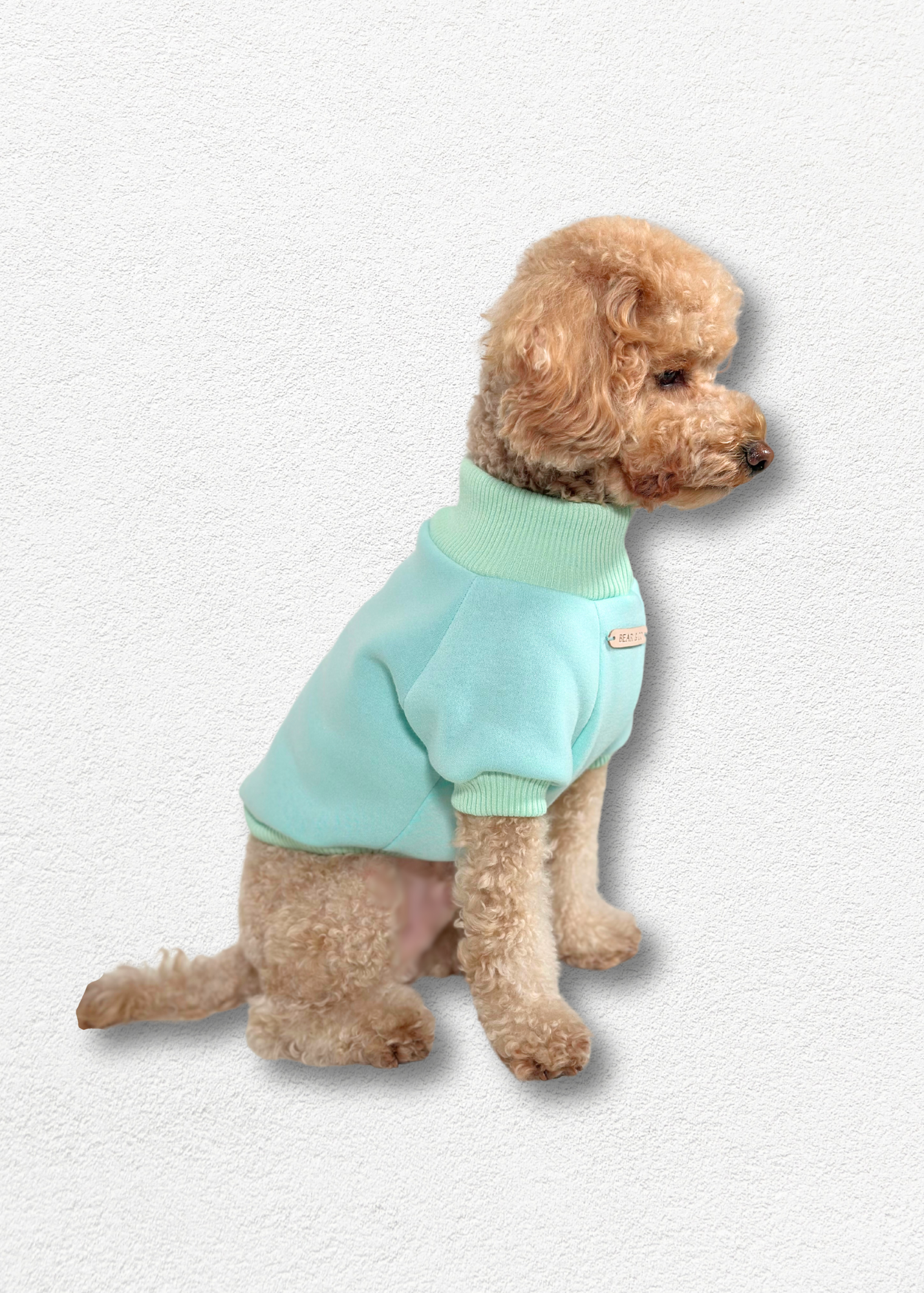 Dog Sweater - Mint Green
