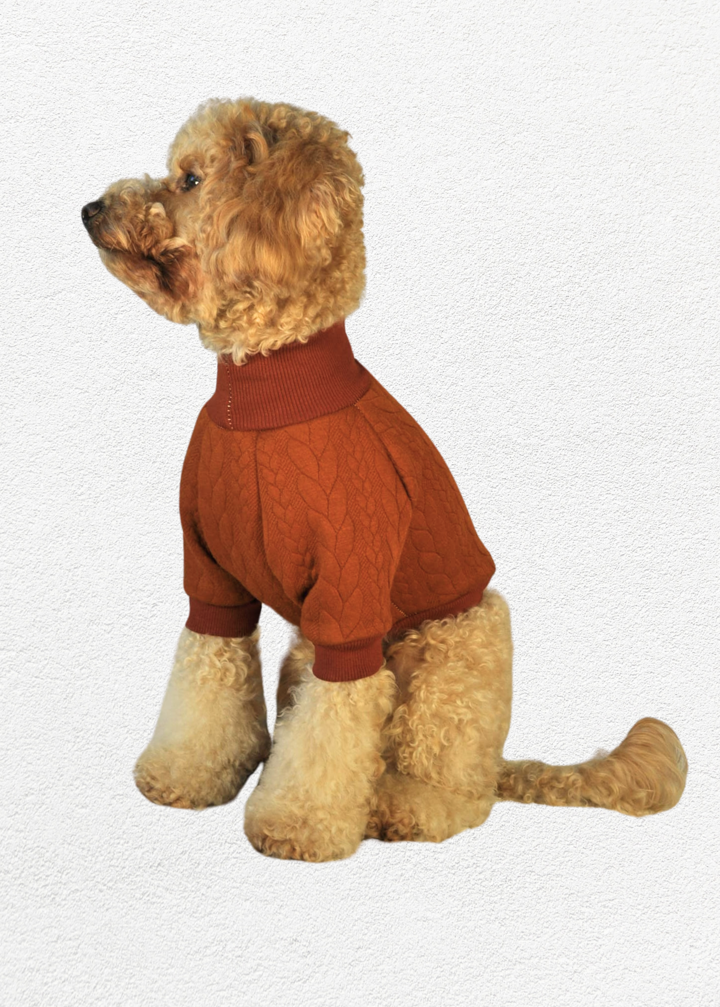Knitted Pullover - Sienna