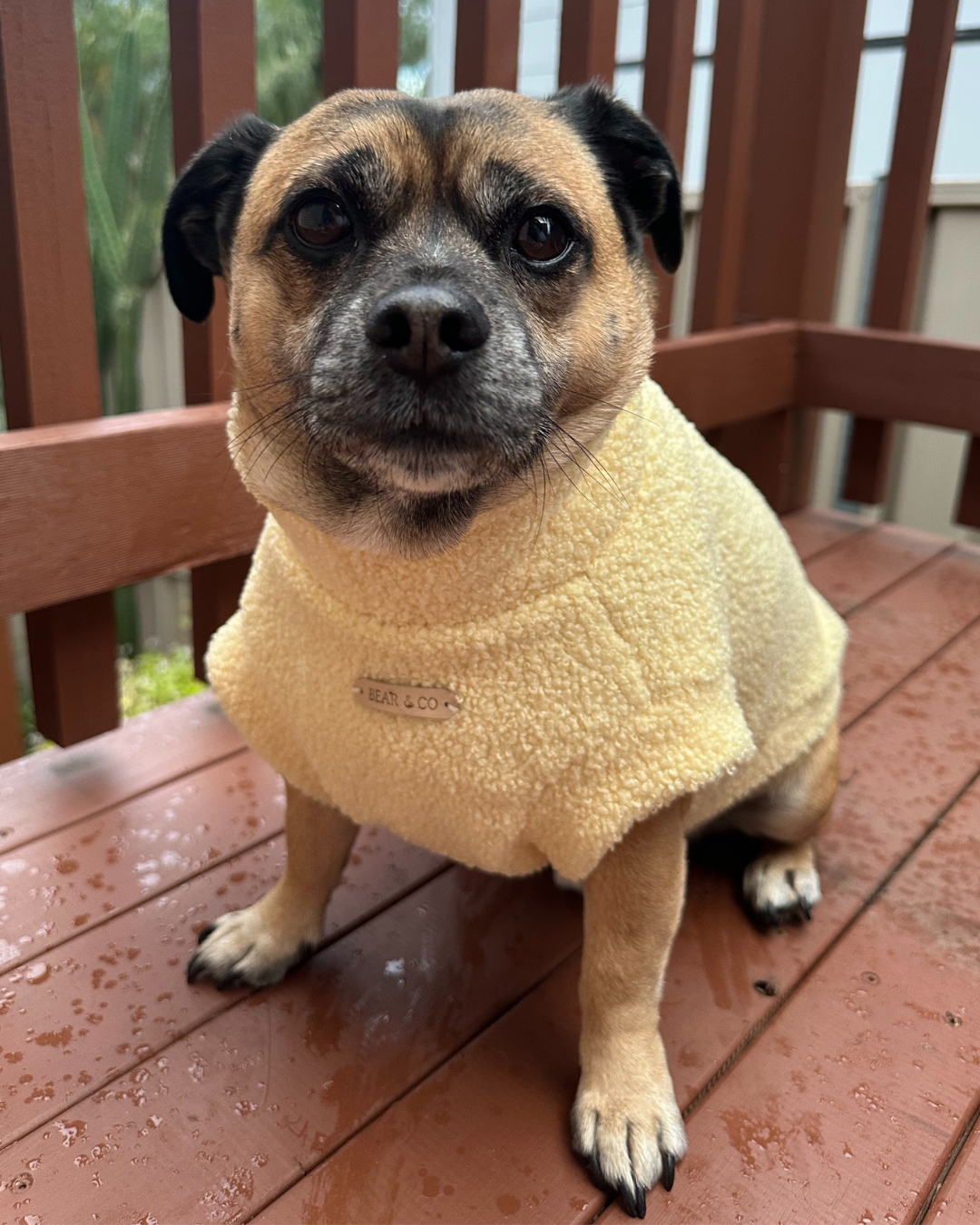 Teddy Bouclé Jumper (Pastel Yellow)