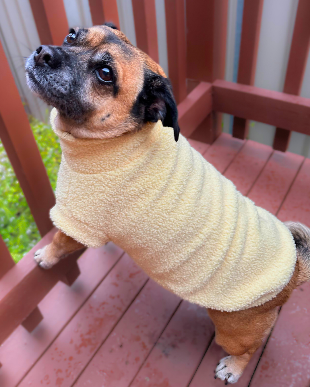 Teddy Bouclé Jumper (Pastel Yellow)