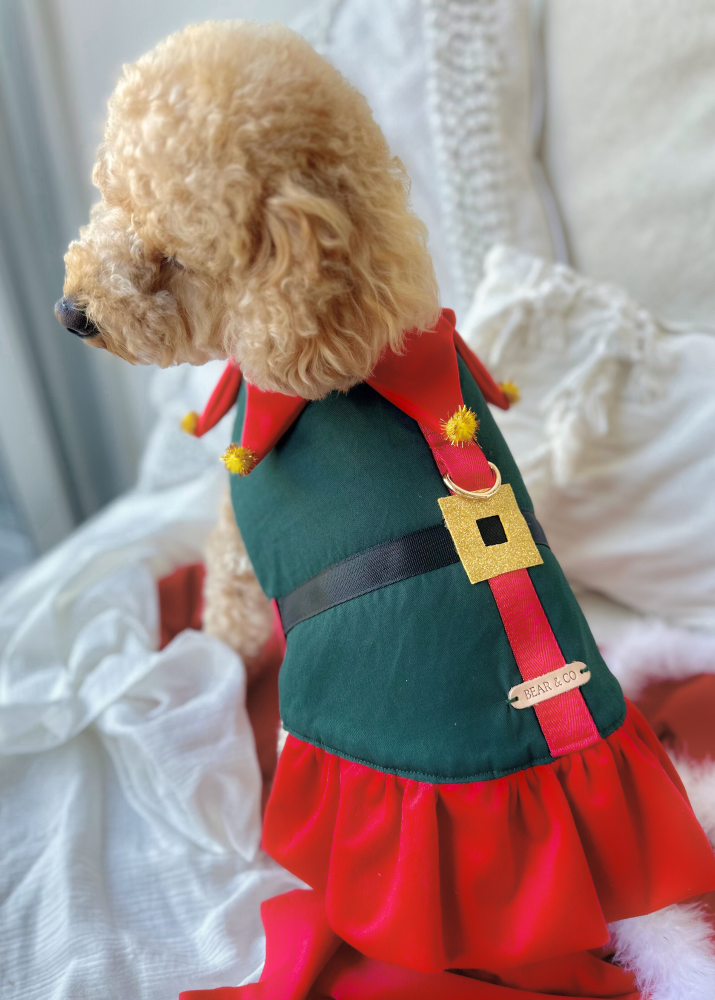 Bespoke Christmas Elf Harness