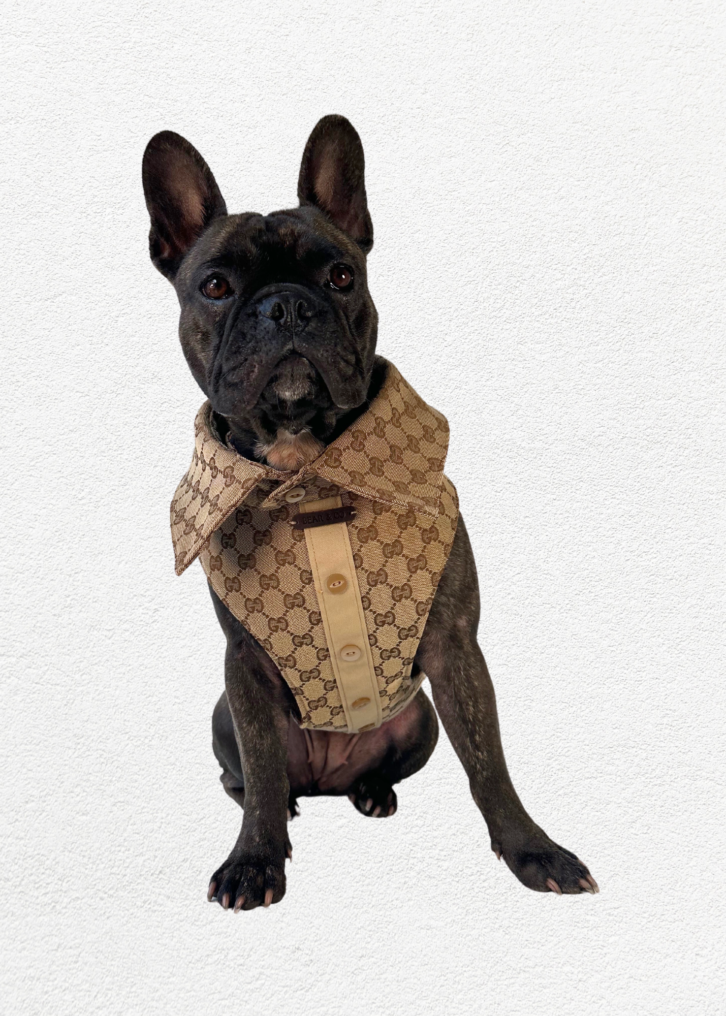 Bespoke Pet Harness & Shirt Collar