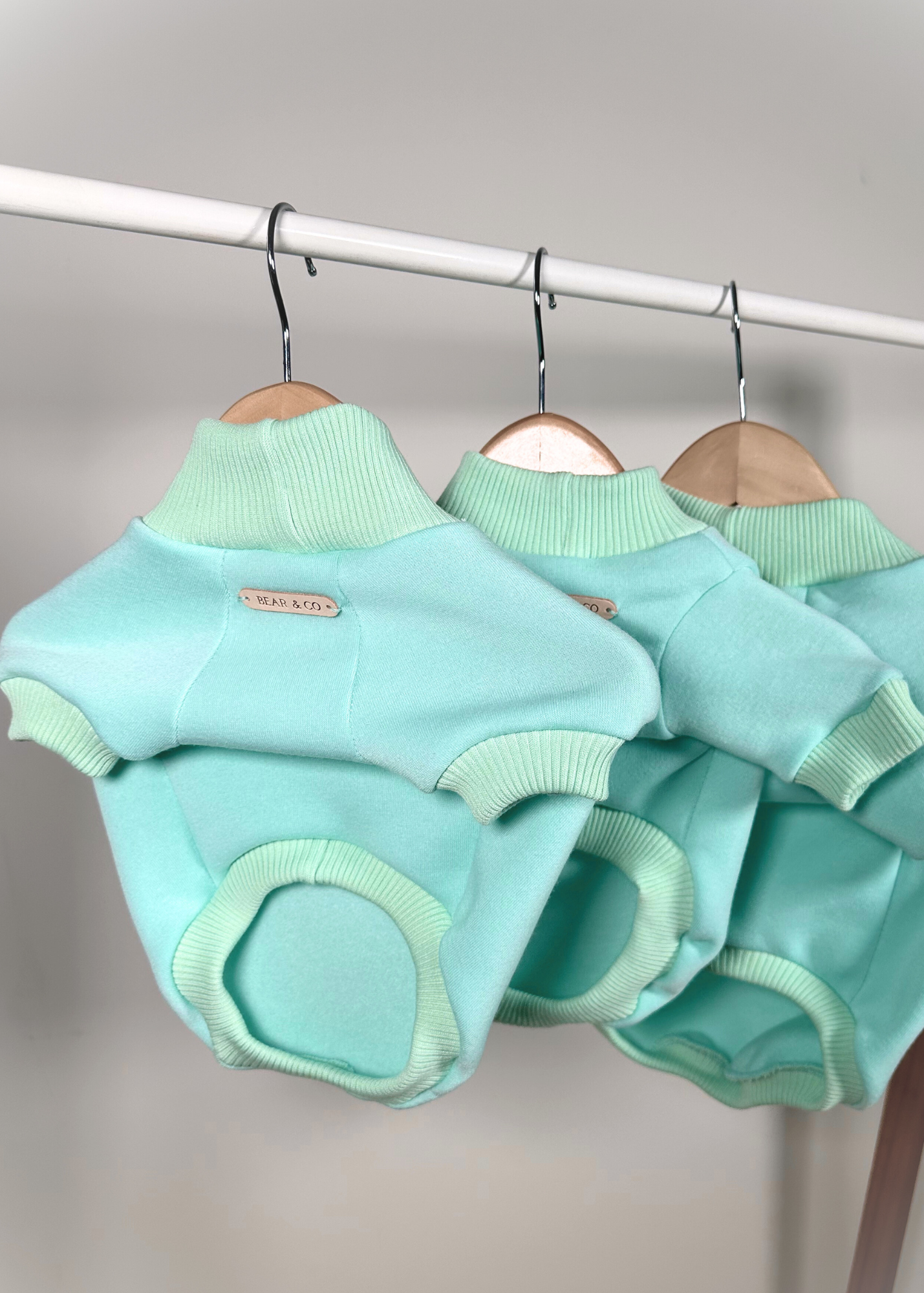 Dog Sweater - Mint Green