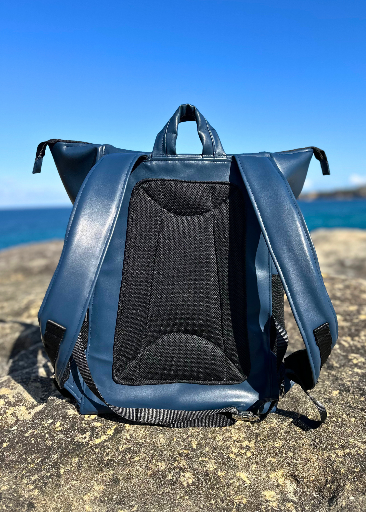 Bespoke Pet Back Pack