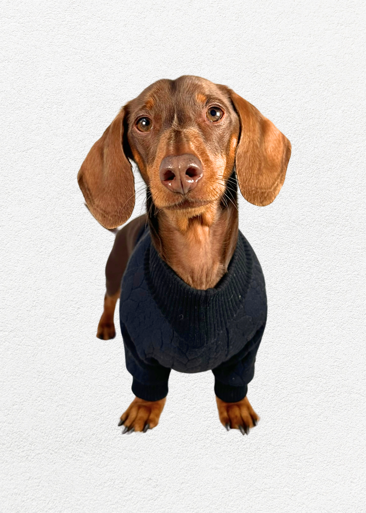 Knitted Pullover - Onyx
