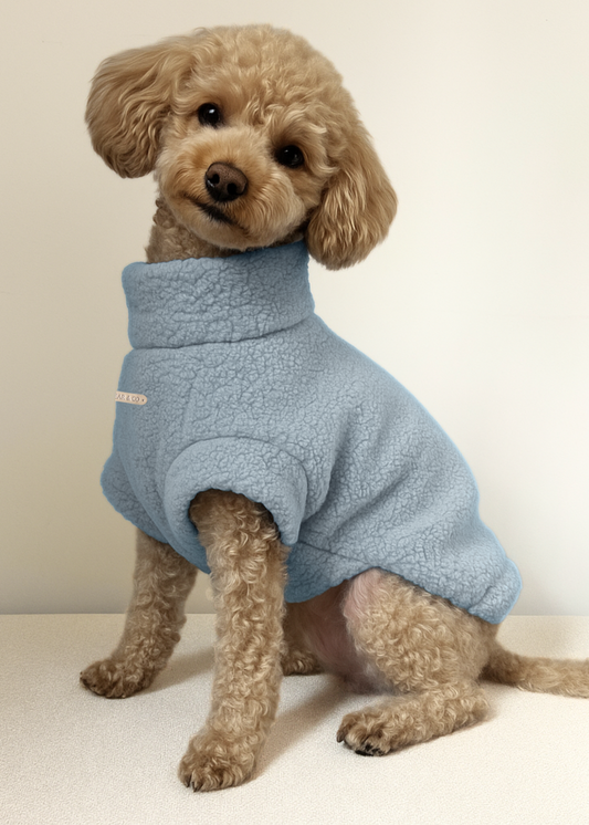 Teddy Bouclé Jumper (Baby Blue)