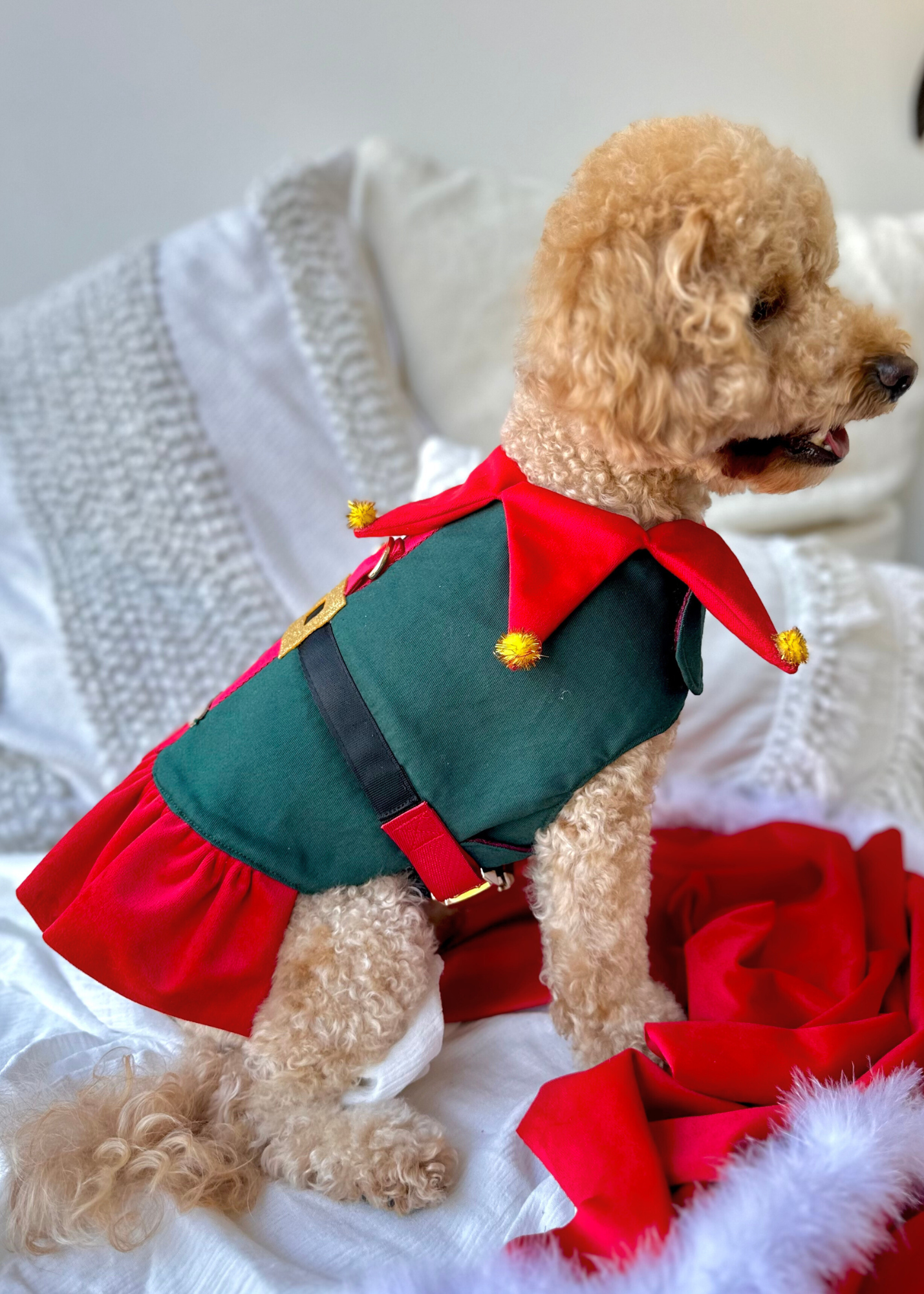 Bespoke Christmas Elf Harness