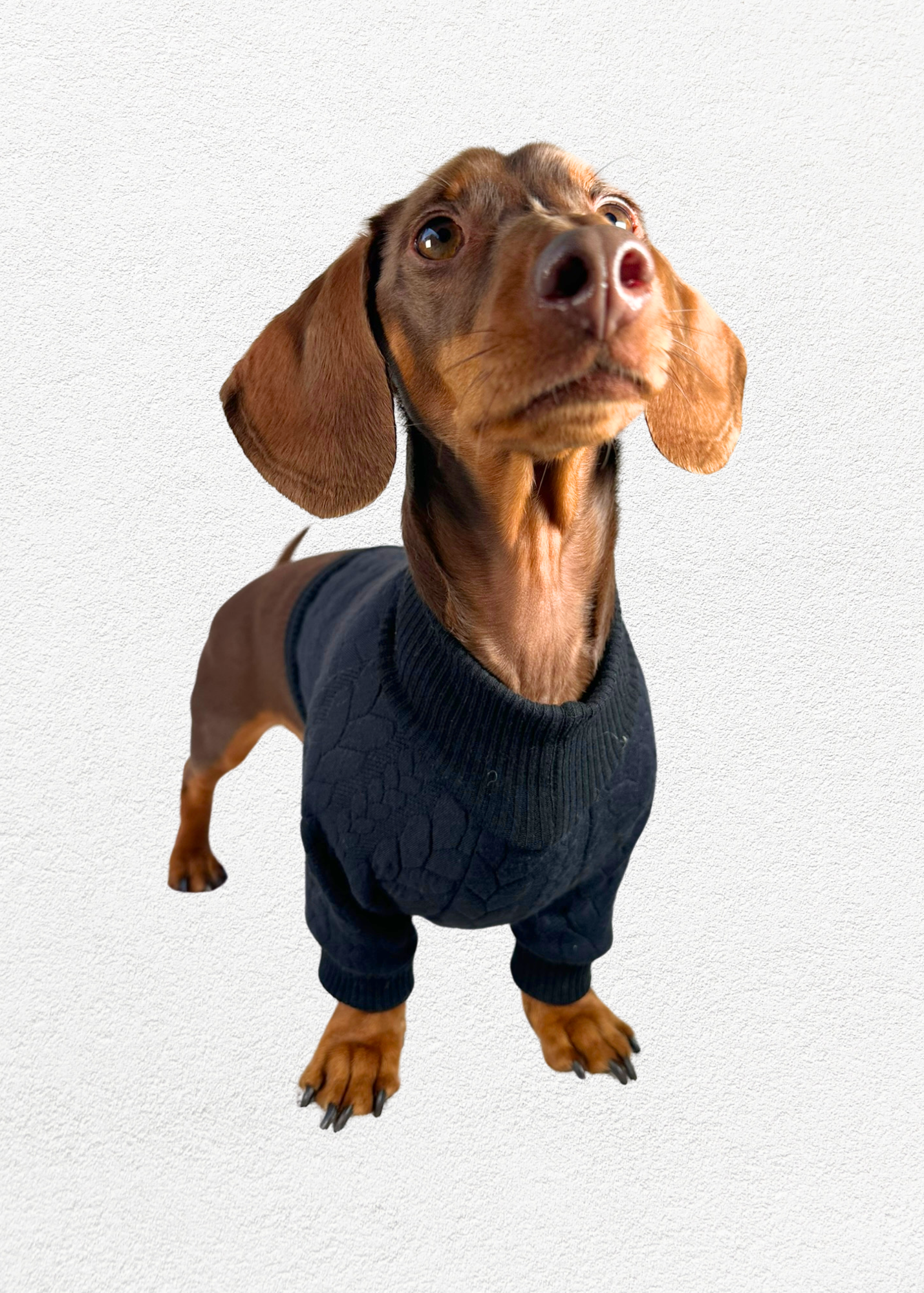 Knitted Pullover - Onyx