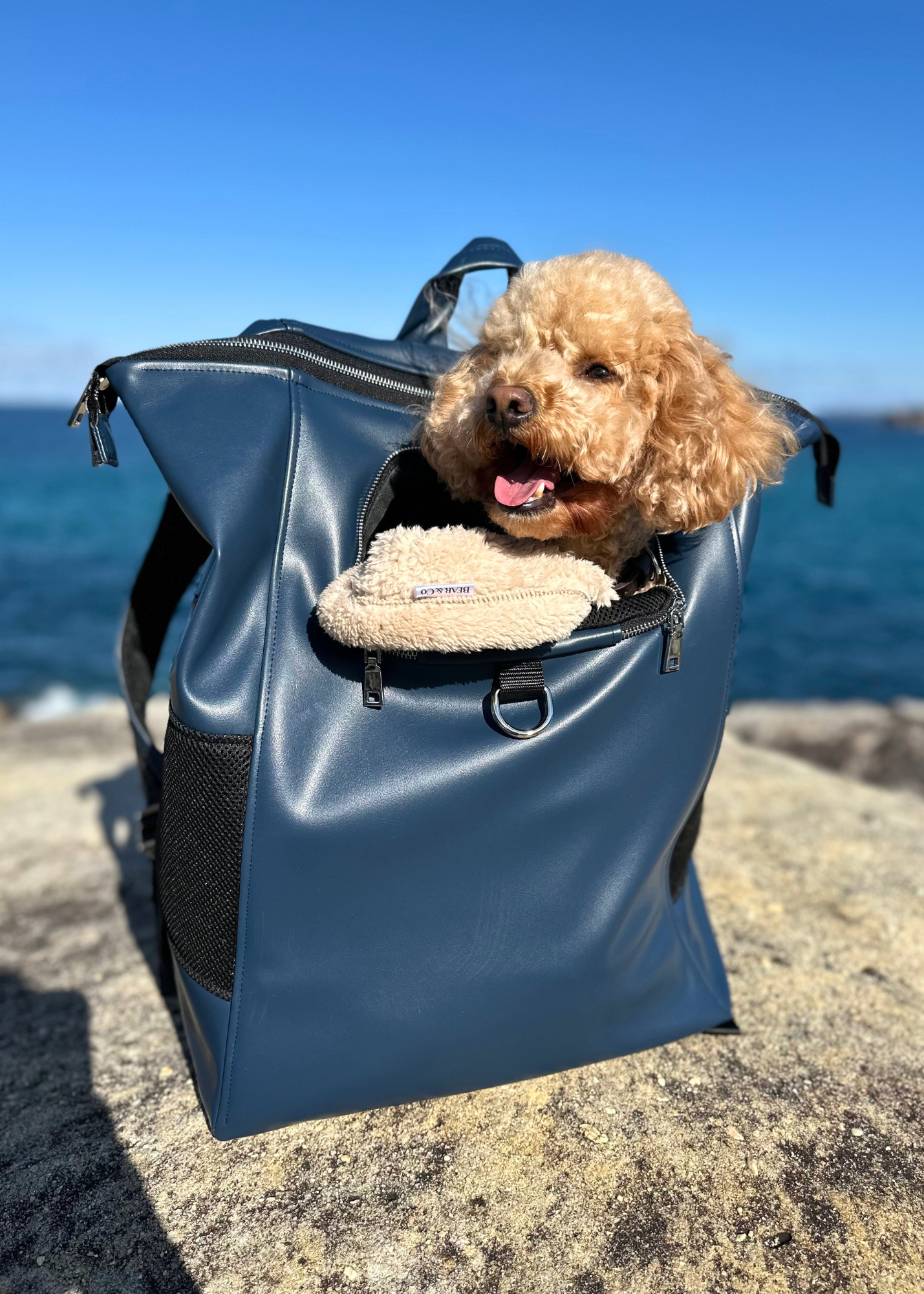 Bespoke Pet Back Pack