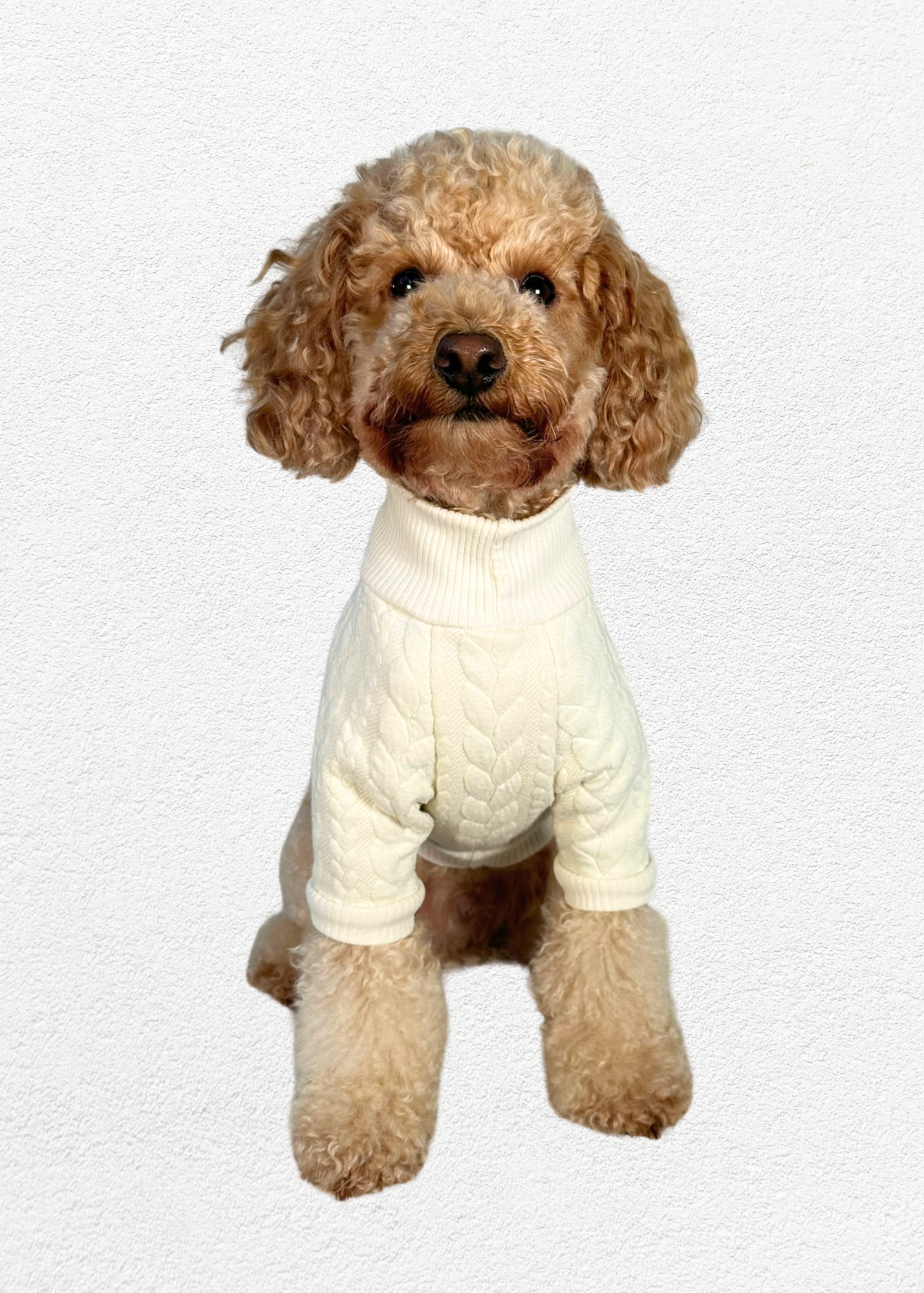 Knitted Pullover - Ivory