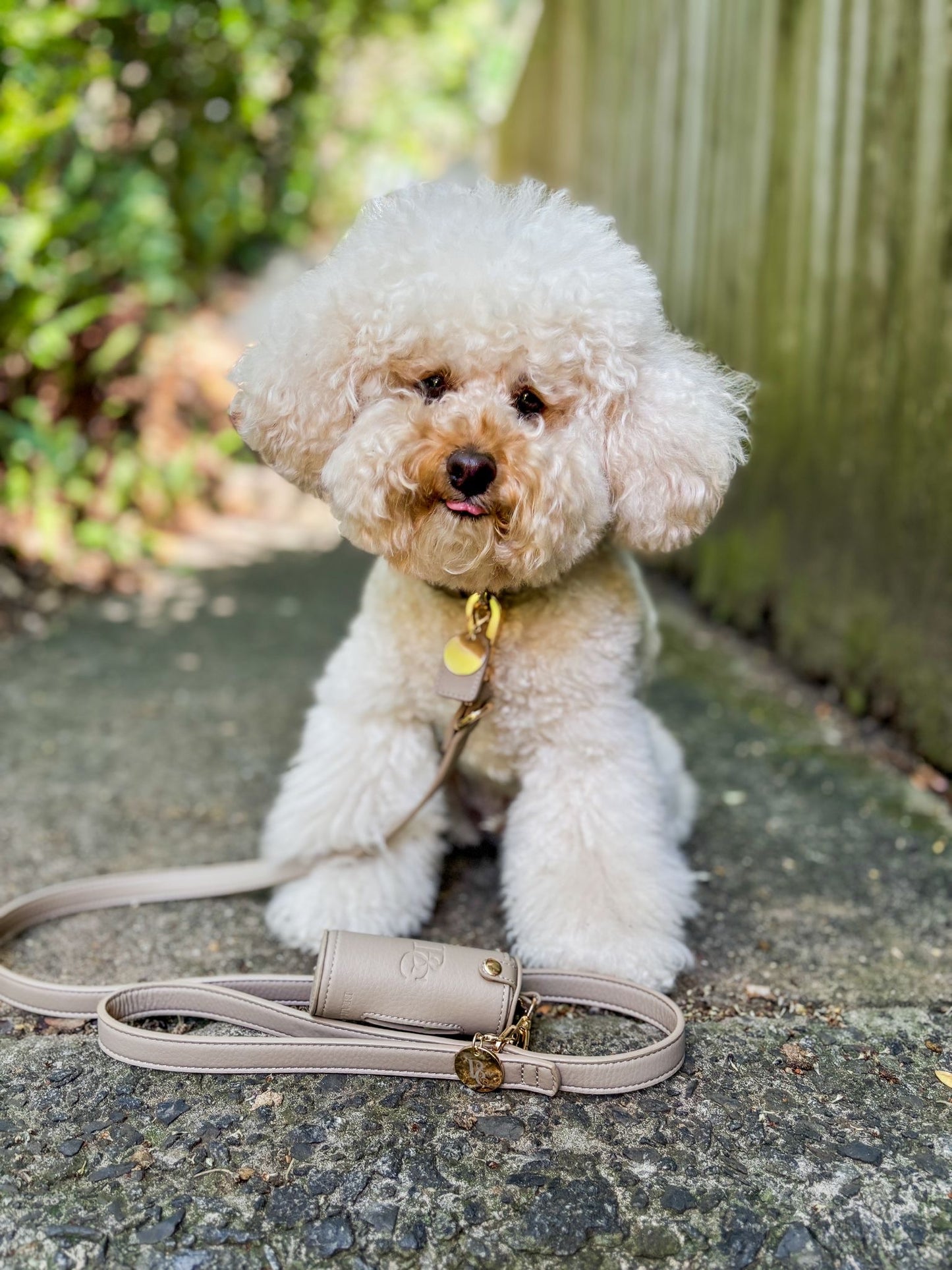 Premium Walk Set - Mocha