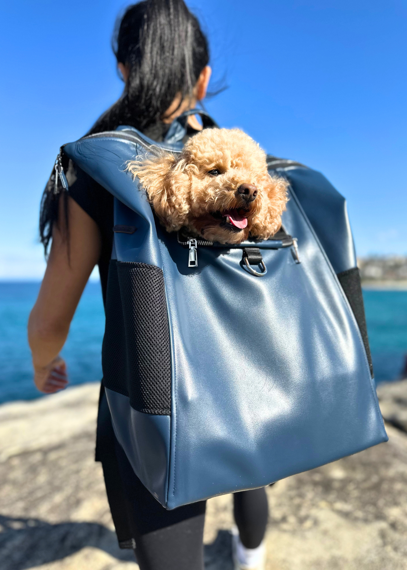 Bespoke Pet Back Pack