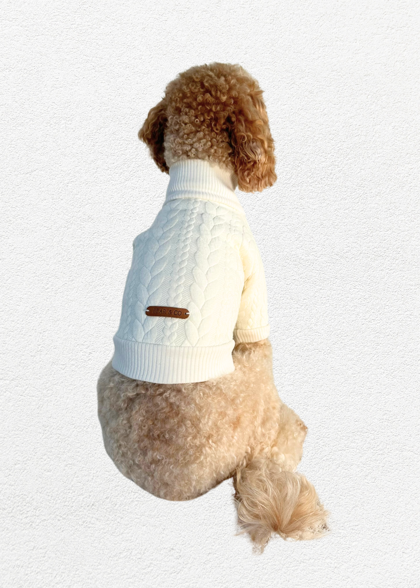 Knitted Pullover - Ivory