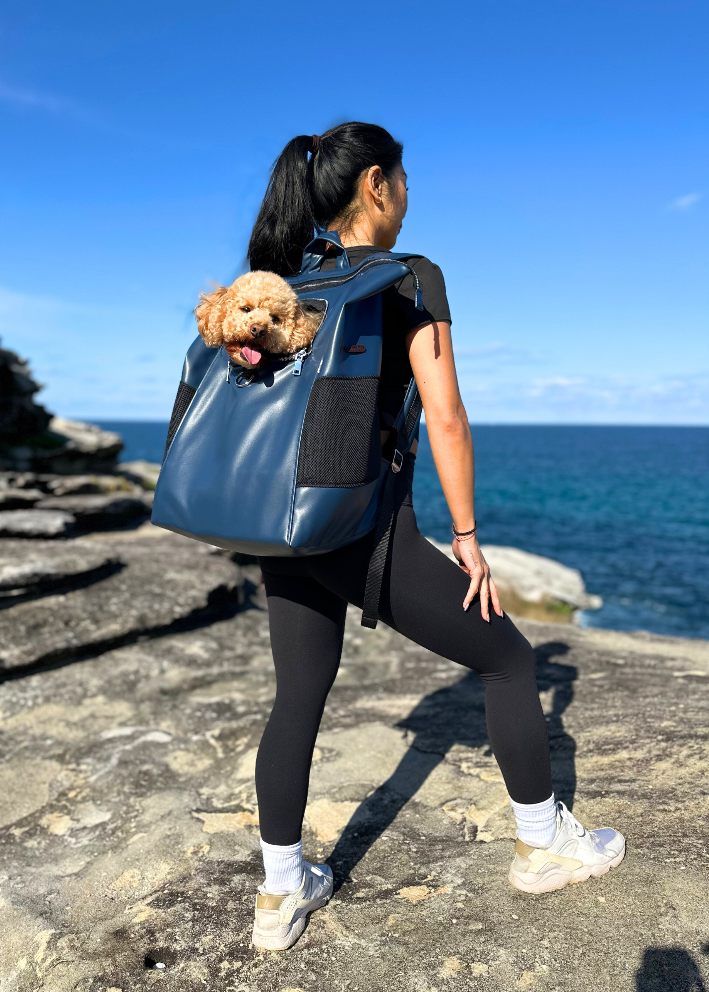 Bespoke Pet Back Pack