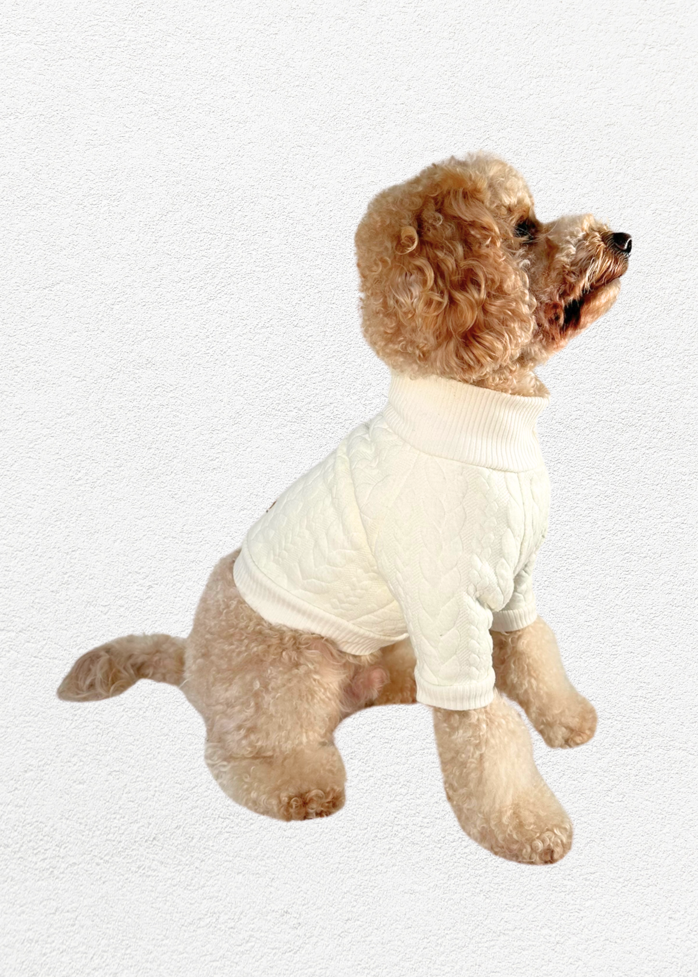 Knitted Pullover - Ivory