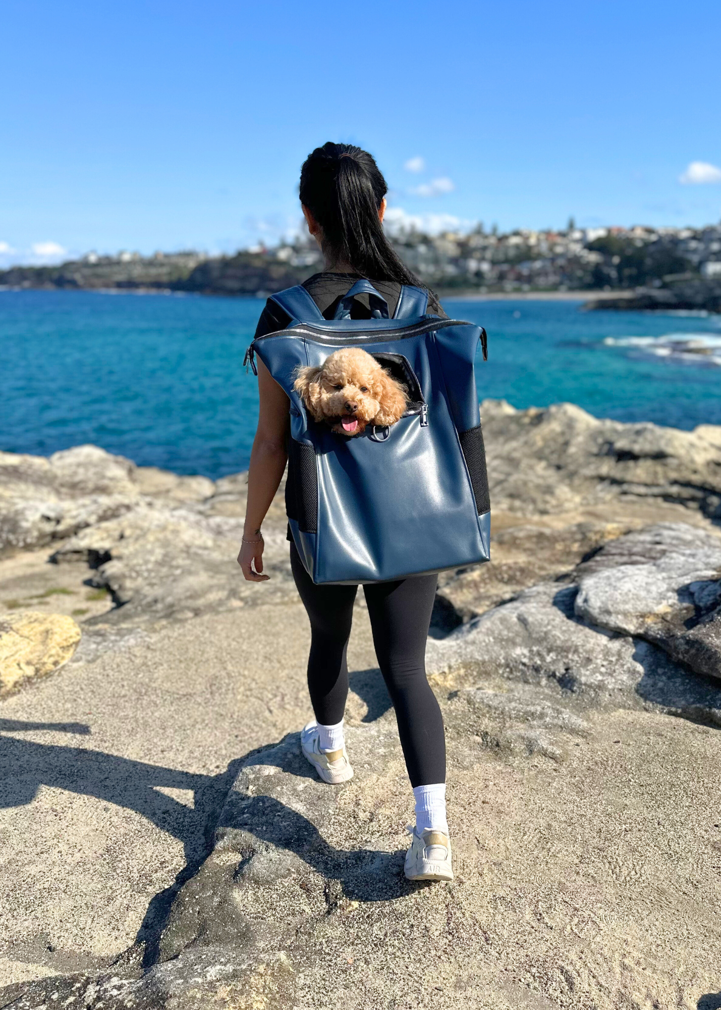 Bespoke Pet Back Pack