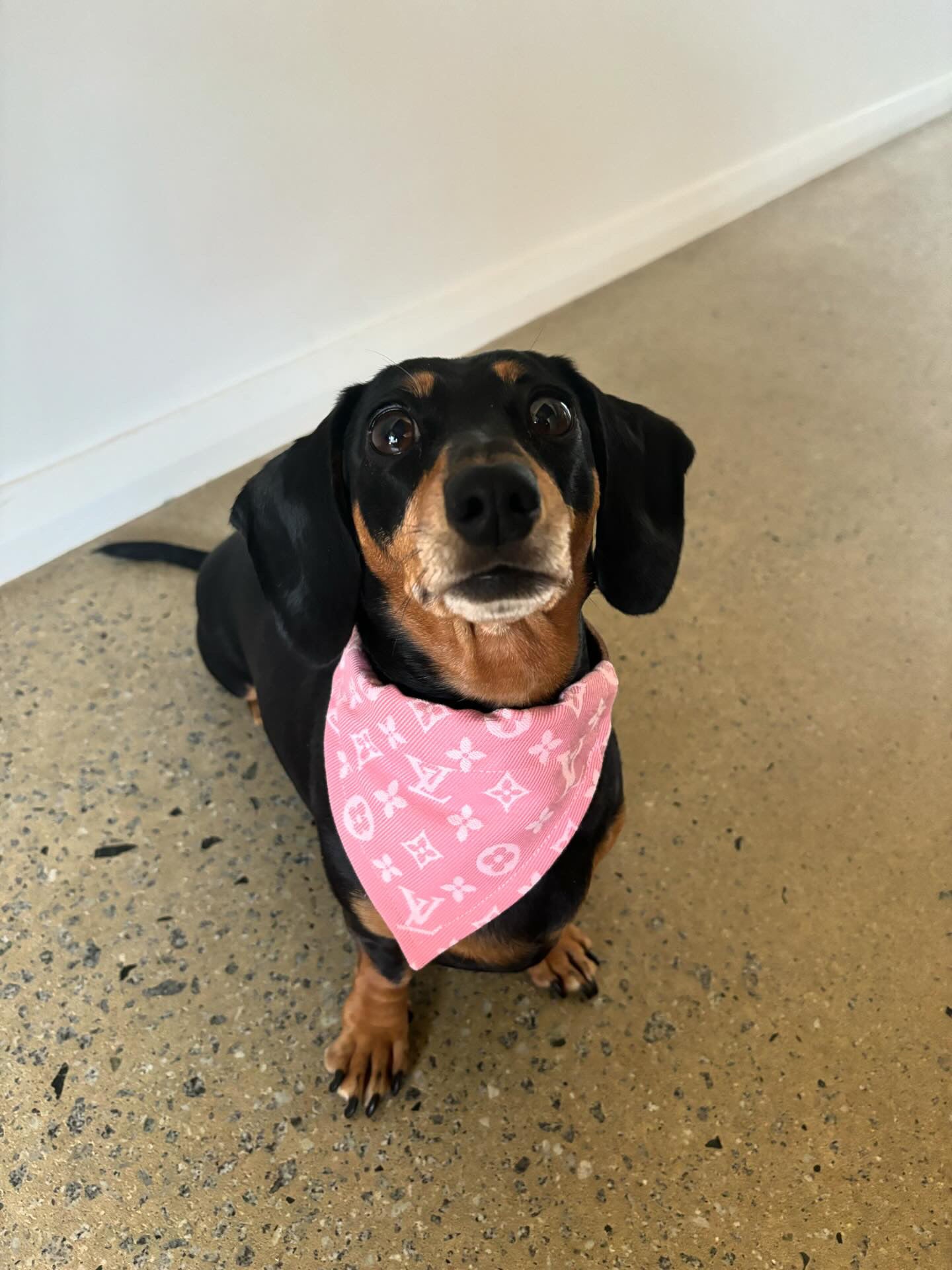 Bandana - Luxury Pink