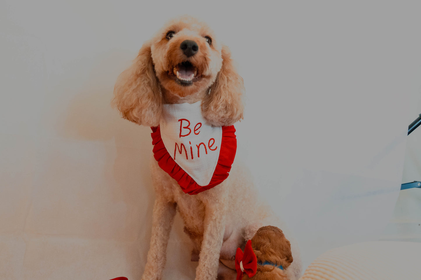 Valentine's Bandana