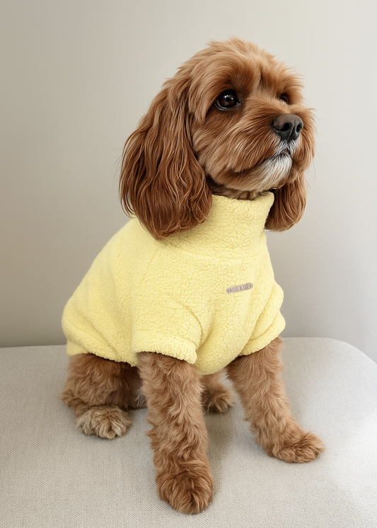 Teddy Bouclé Jumper (Pastel Yellow)