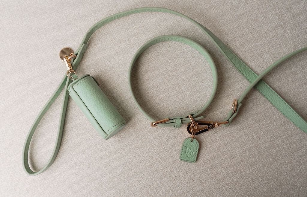 Premium Walk Set - Matcha