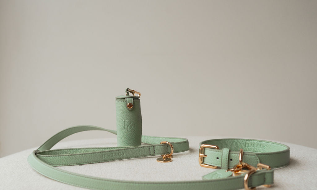 Premium Walk Set - Matcha