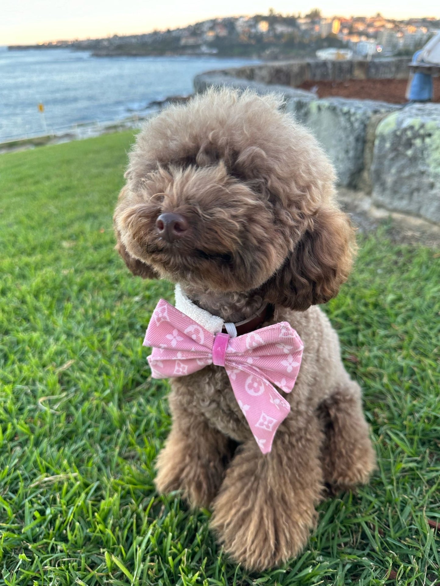 Bow - Luxury Pink
