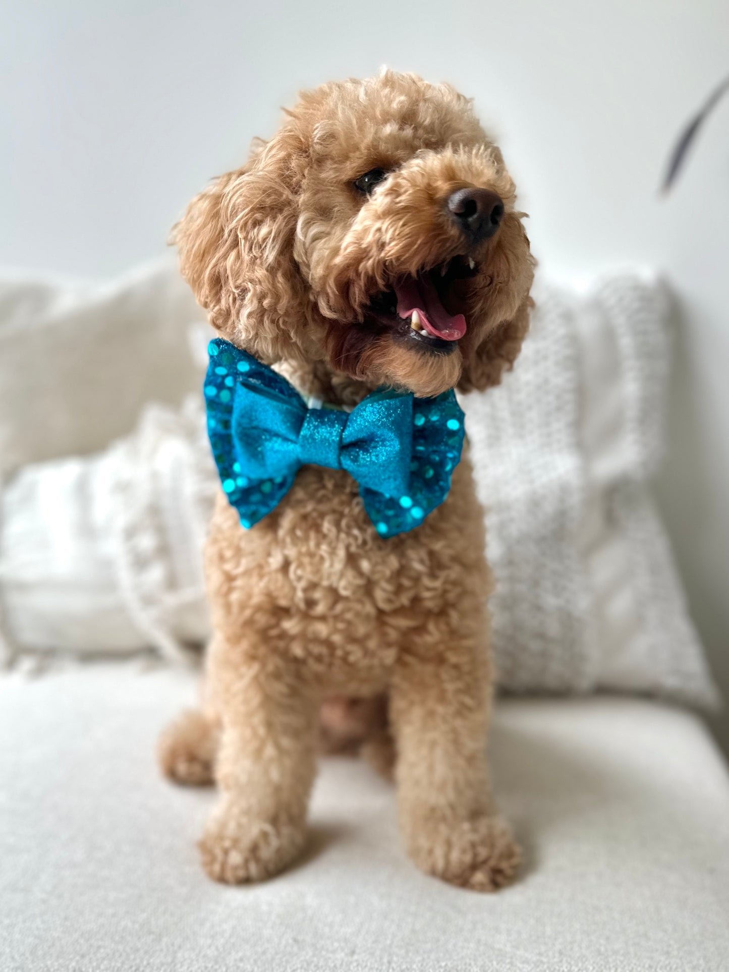 Disco Blue Bow Tie