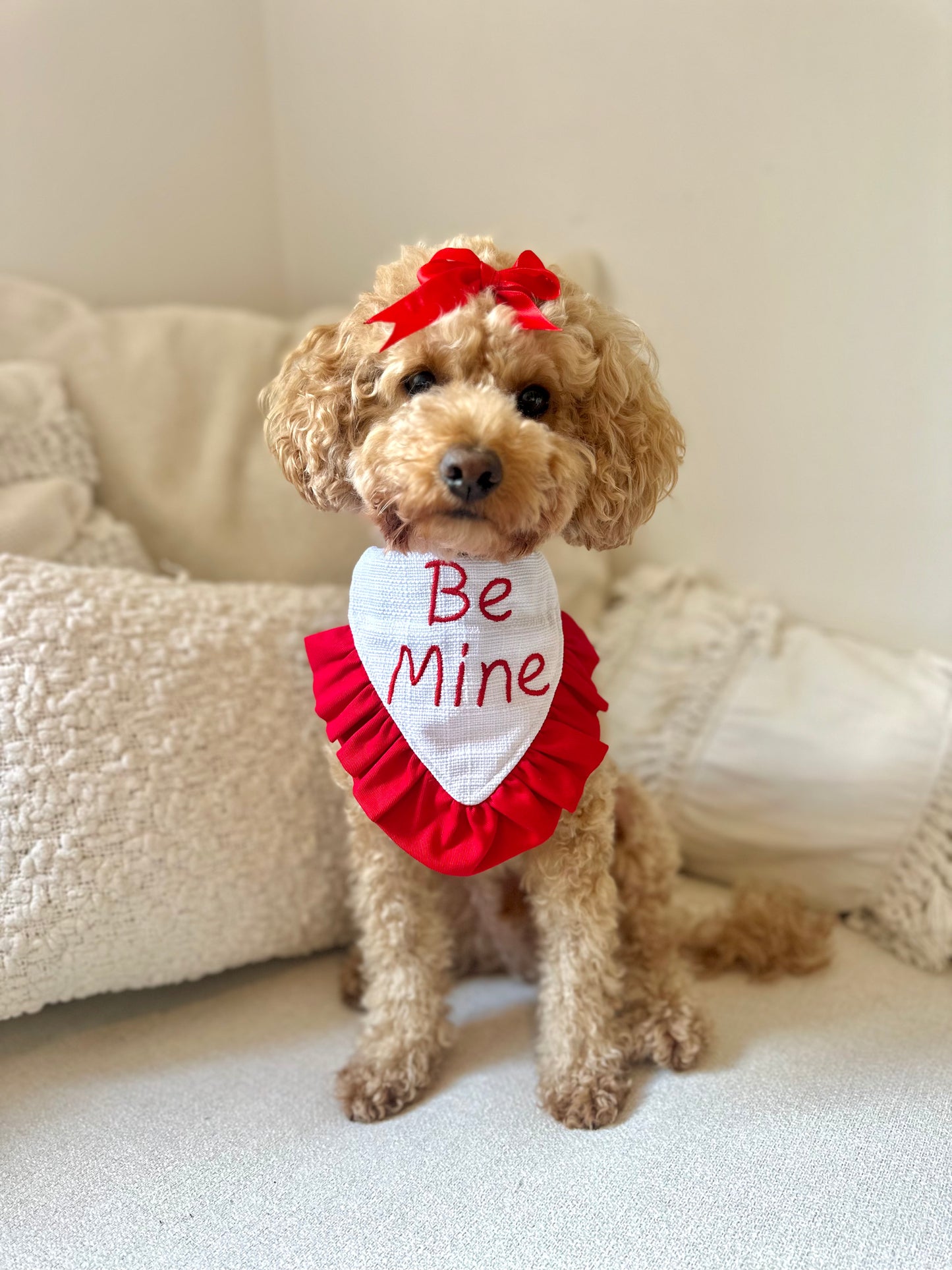 Valentine's Dog Bandana