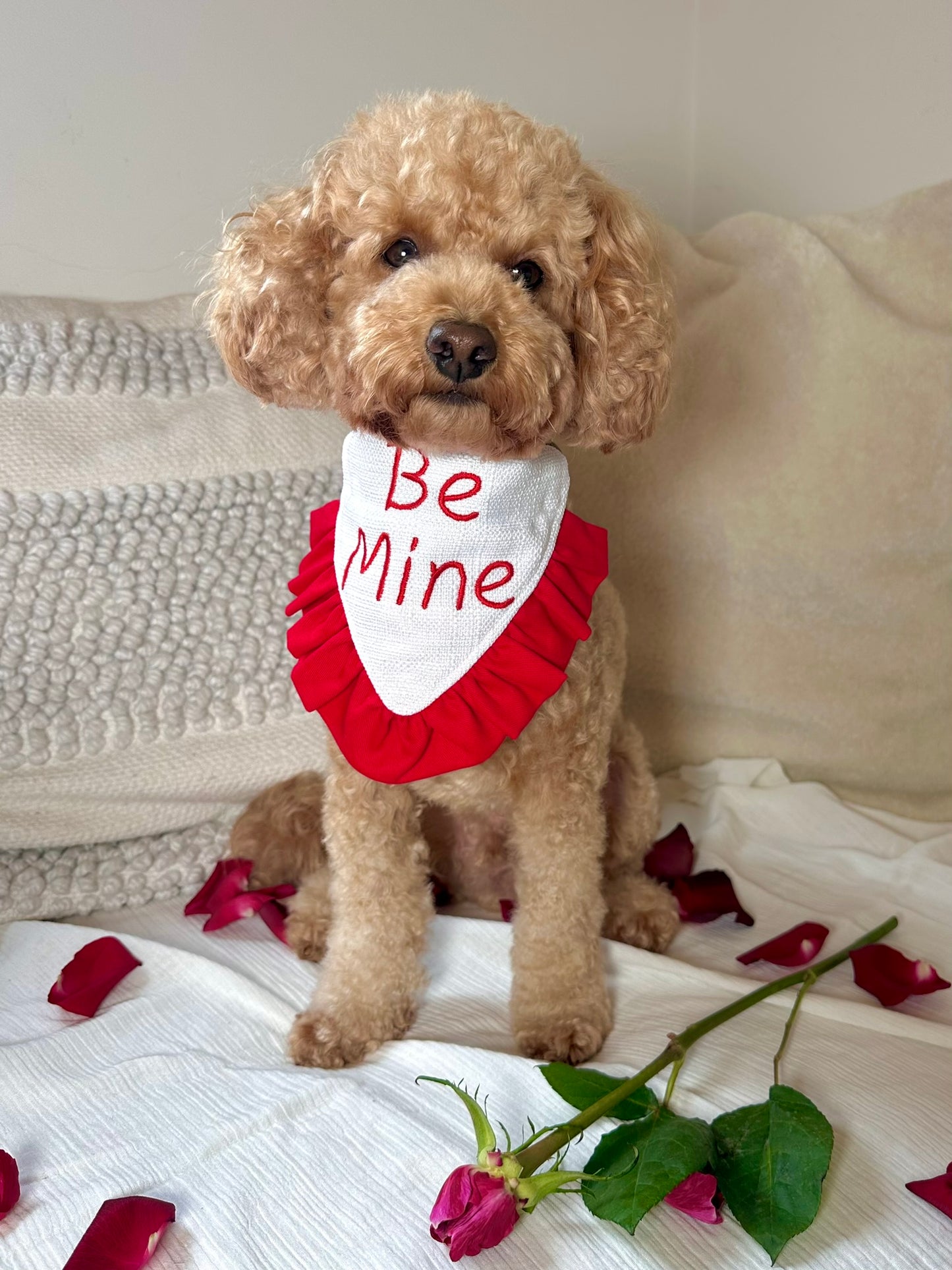 Valentine's Bandana
