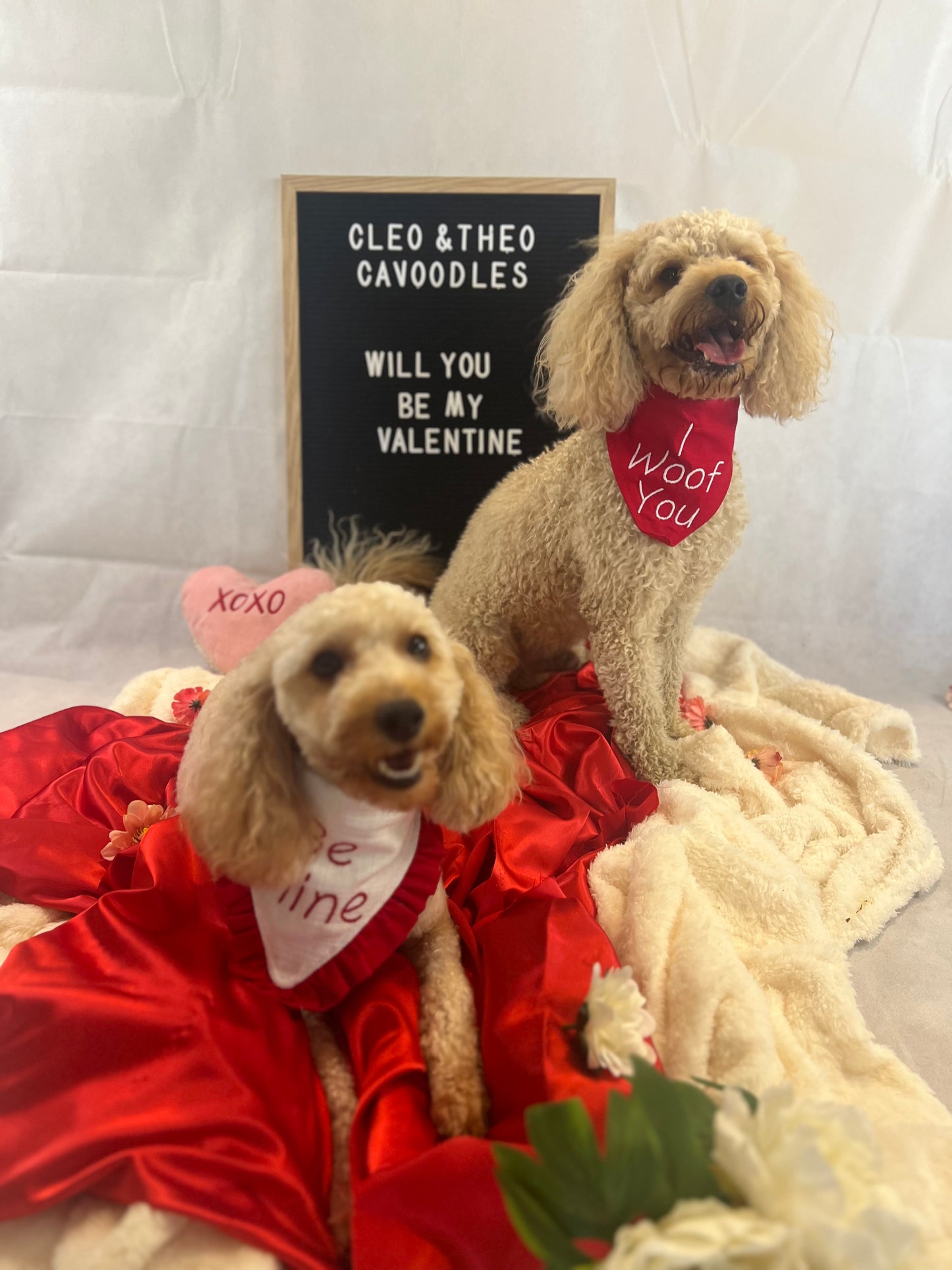 'I Woof You' Bandana