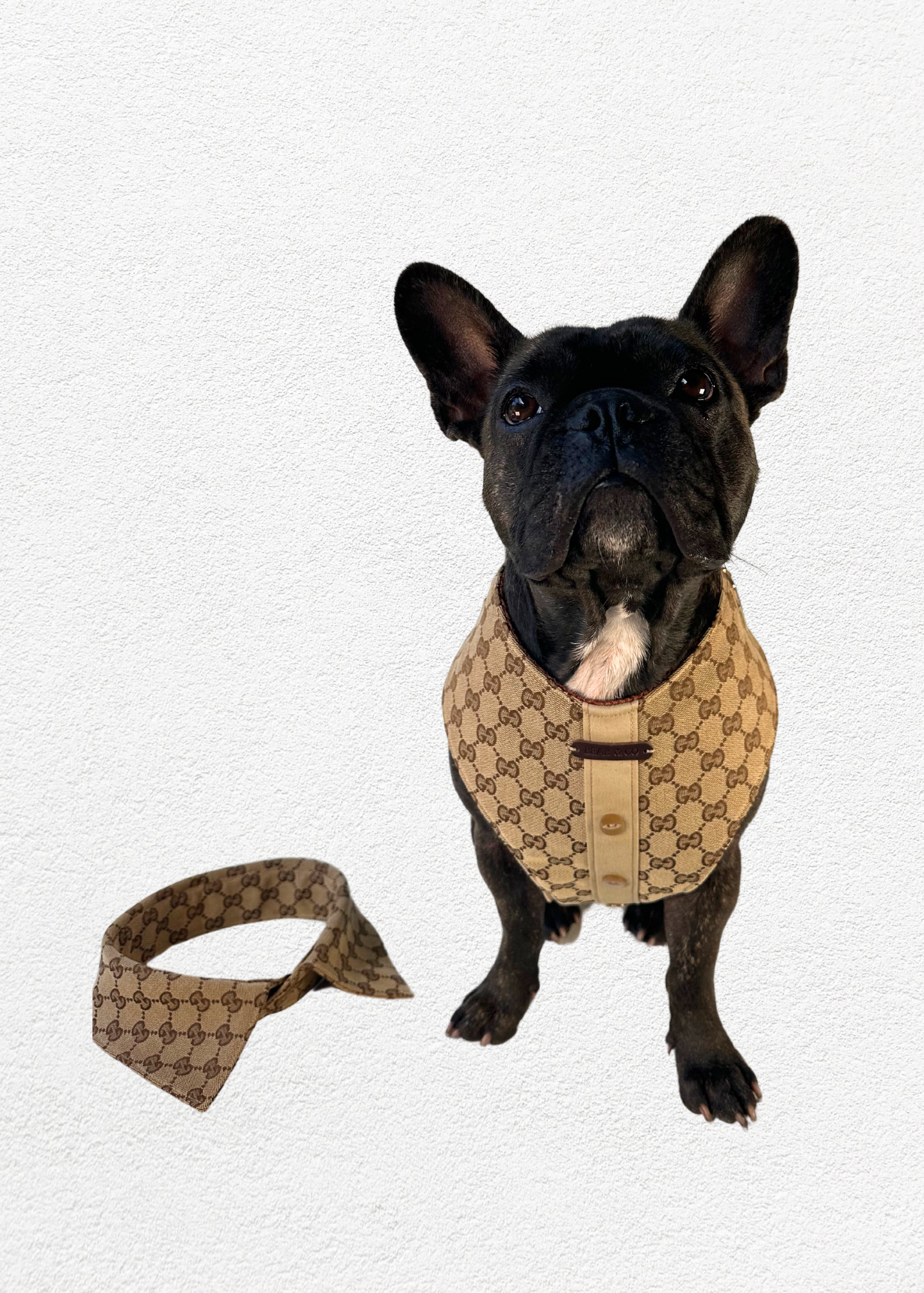 Bespoke Pet Harness & Shirt Collar