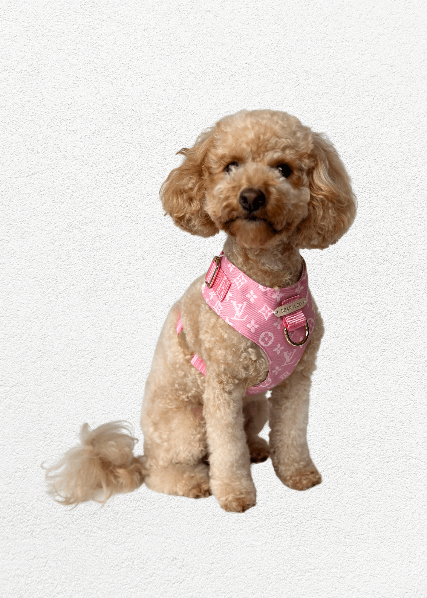 Bespoke Pet Harness - Bear & CoBespoke Pet Harnesspet accessoriesBear & CoBear & Co