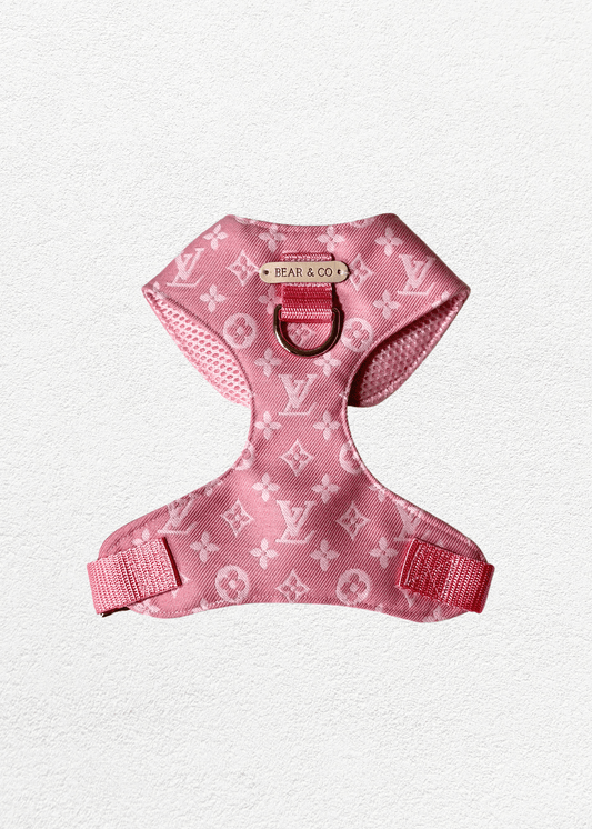 Bespoke Pet Harness - Bear & CoBespoke Pet Harnesspet accessoriesBear & CoBear & Co