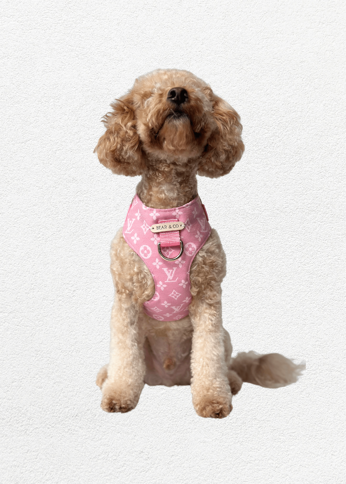 Bespoke Pet Harness - Bear & CoBespoke Pet Harnesspet accessoriesBear & CoBear & Co