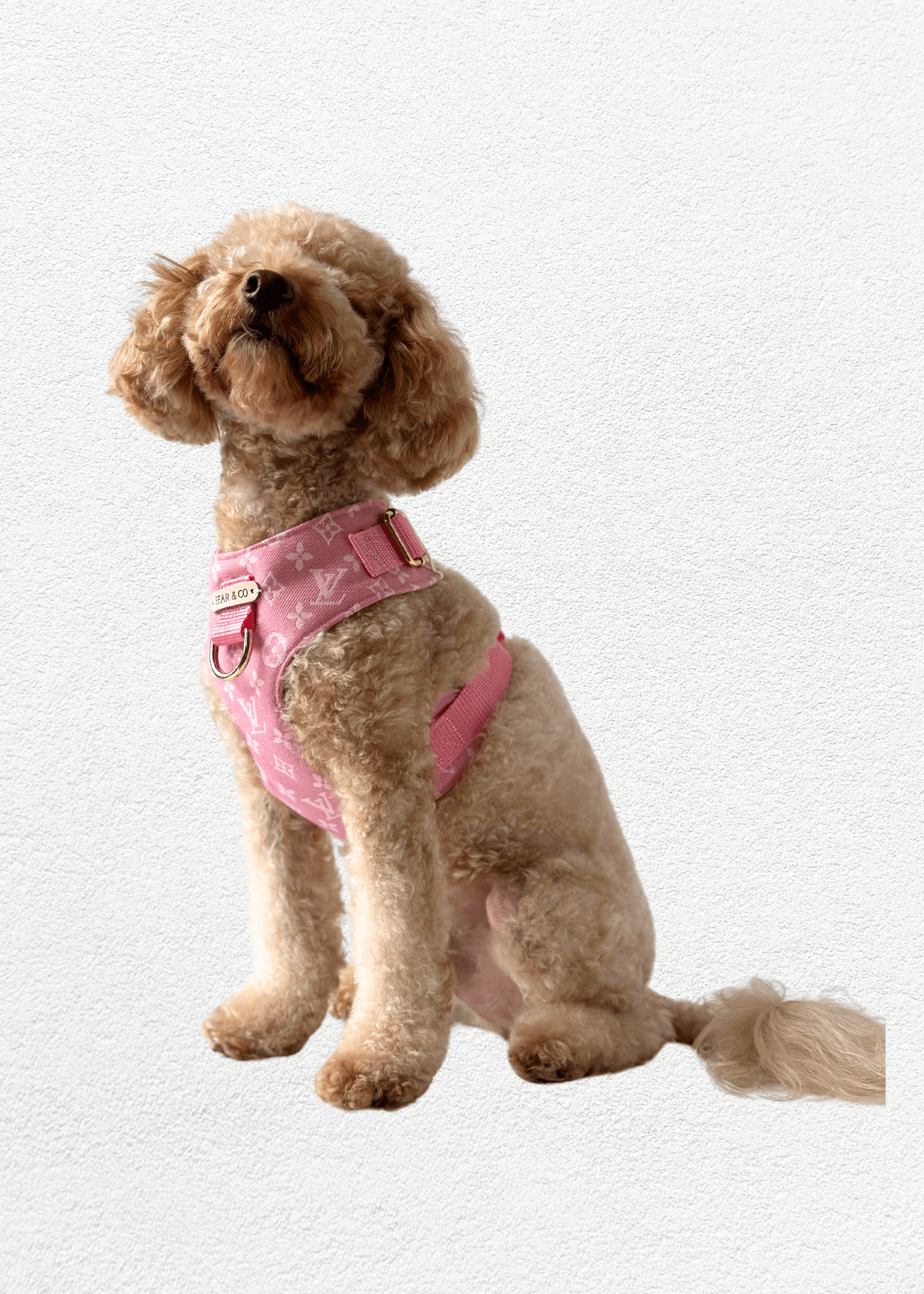Bespoke Pet Harness - Bear & CoBespoke Pet Harnesspet accessoriesBear & CoBear & Co